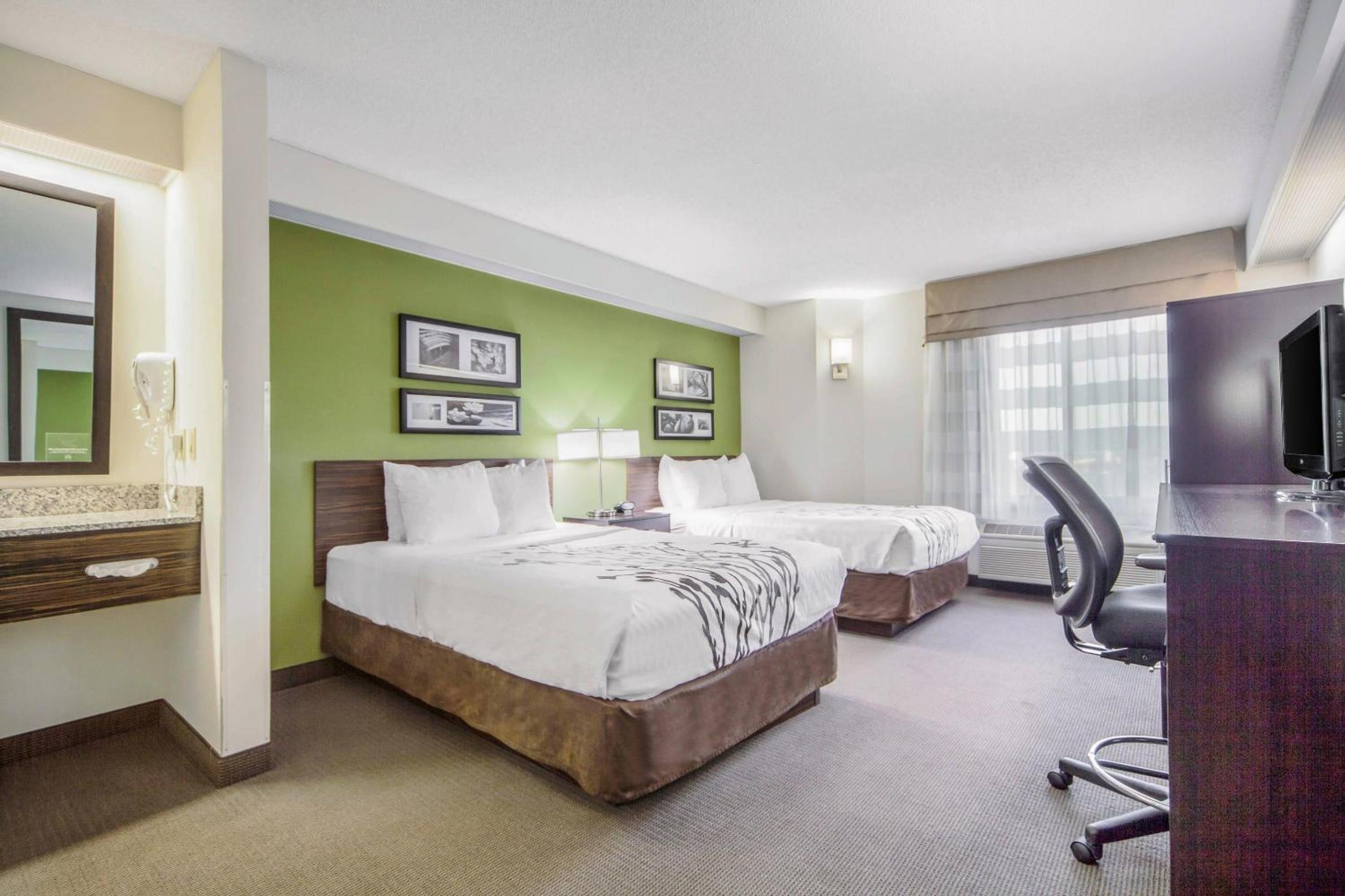Double Room with Two Double Beds - Photo 2