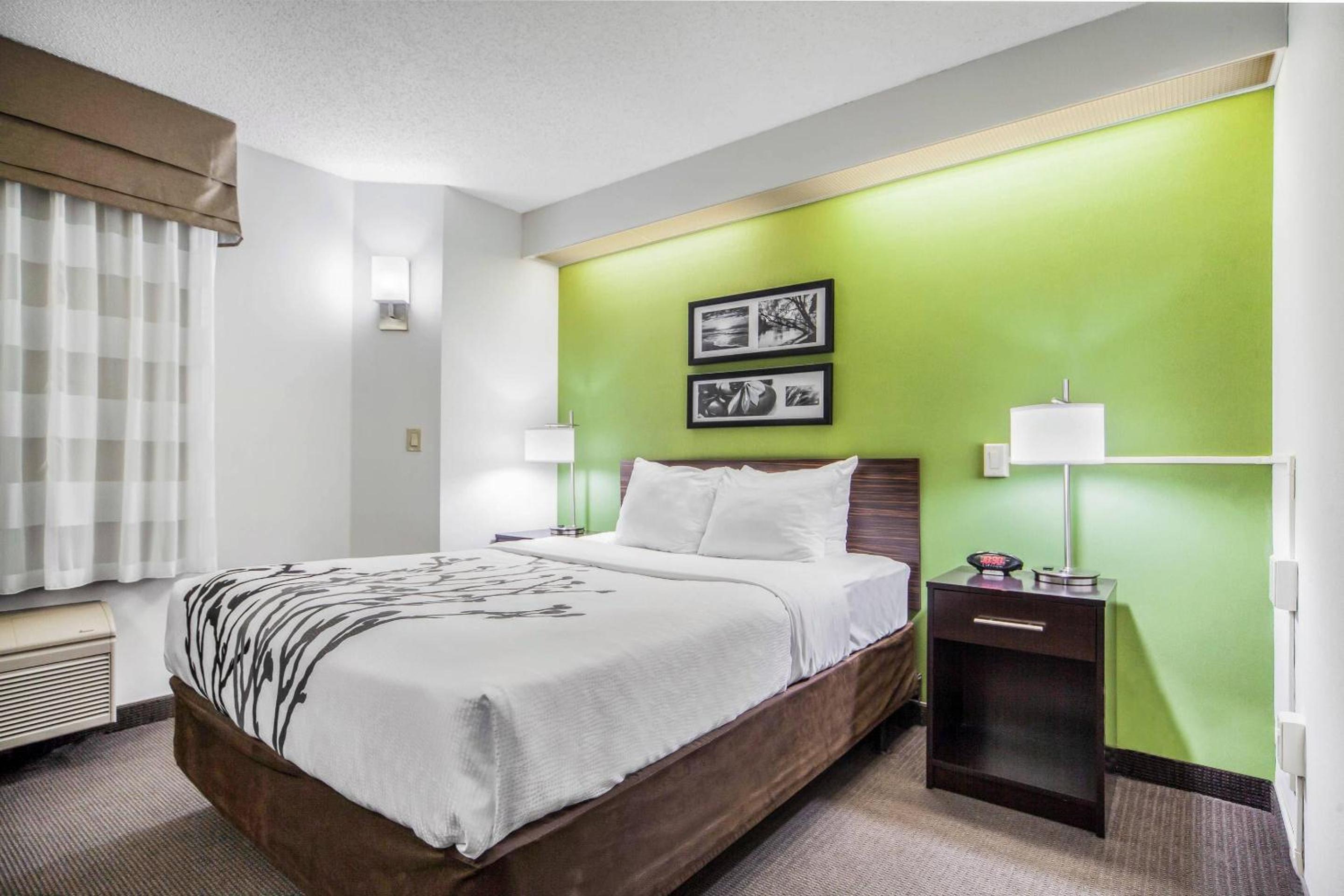 Queen Room - Disability Access - Photo 1