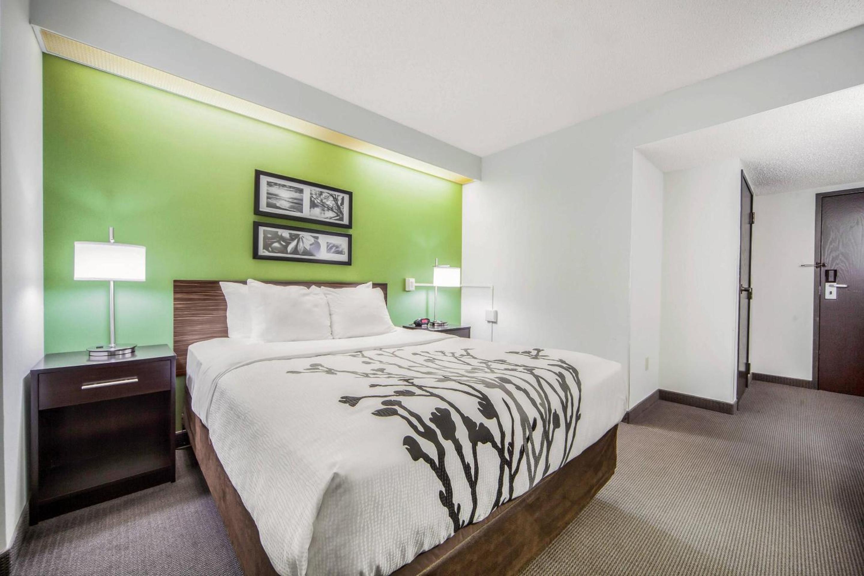 Queen Room - Disability Access - Photo 2
