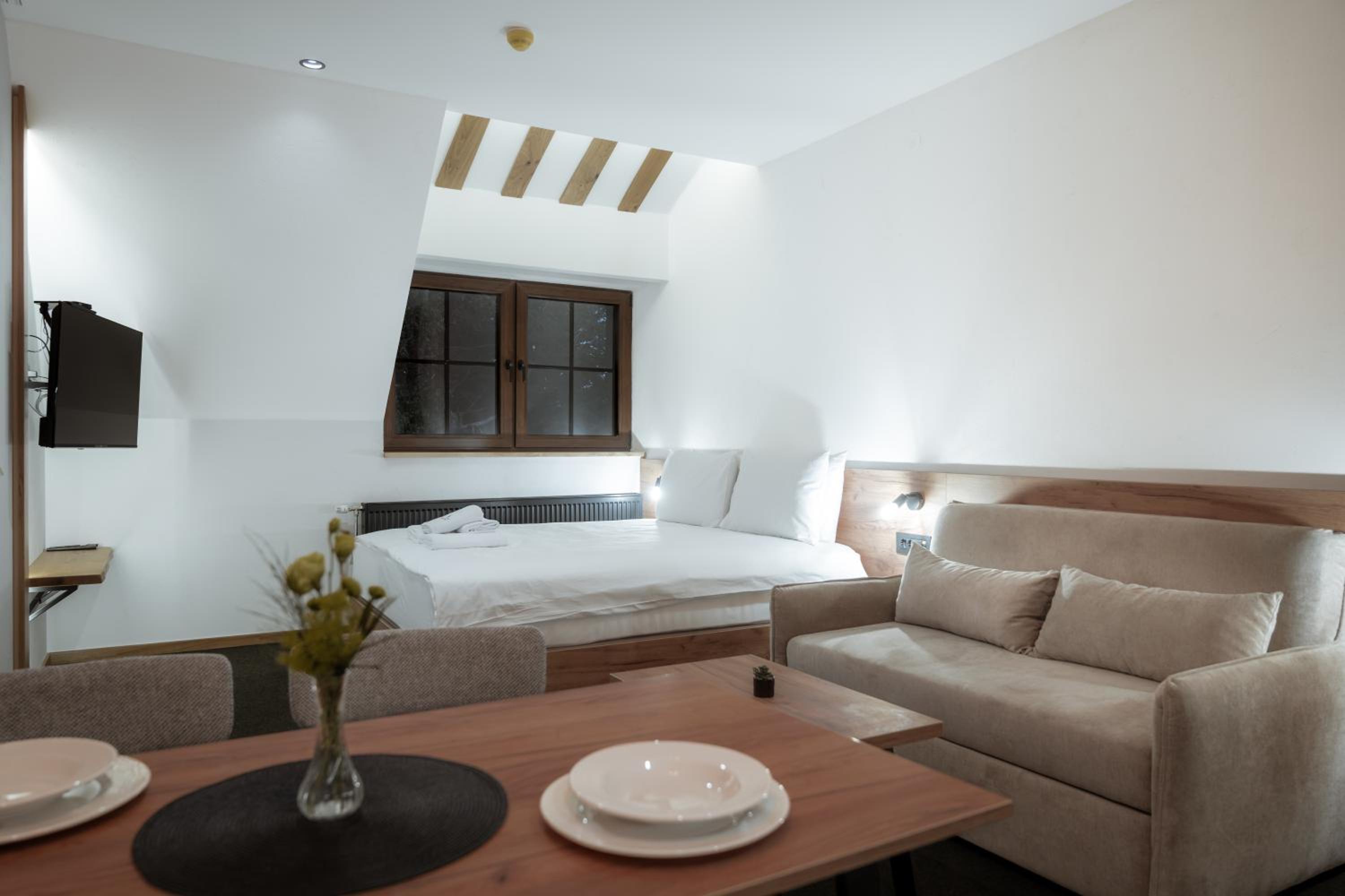 Studio with Sofa Bed