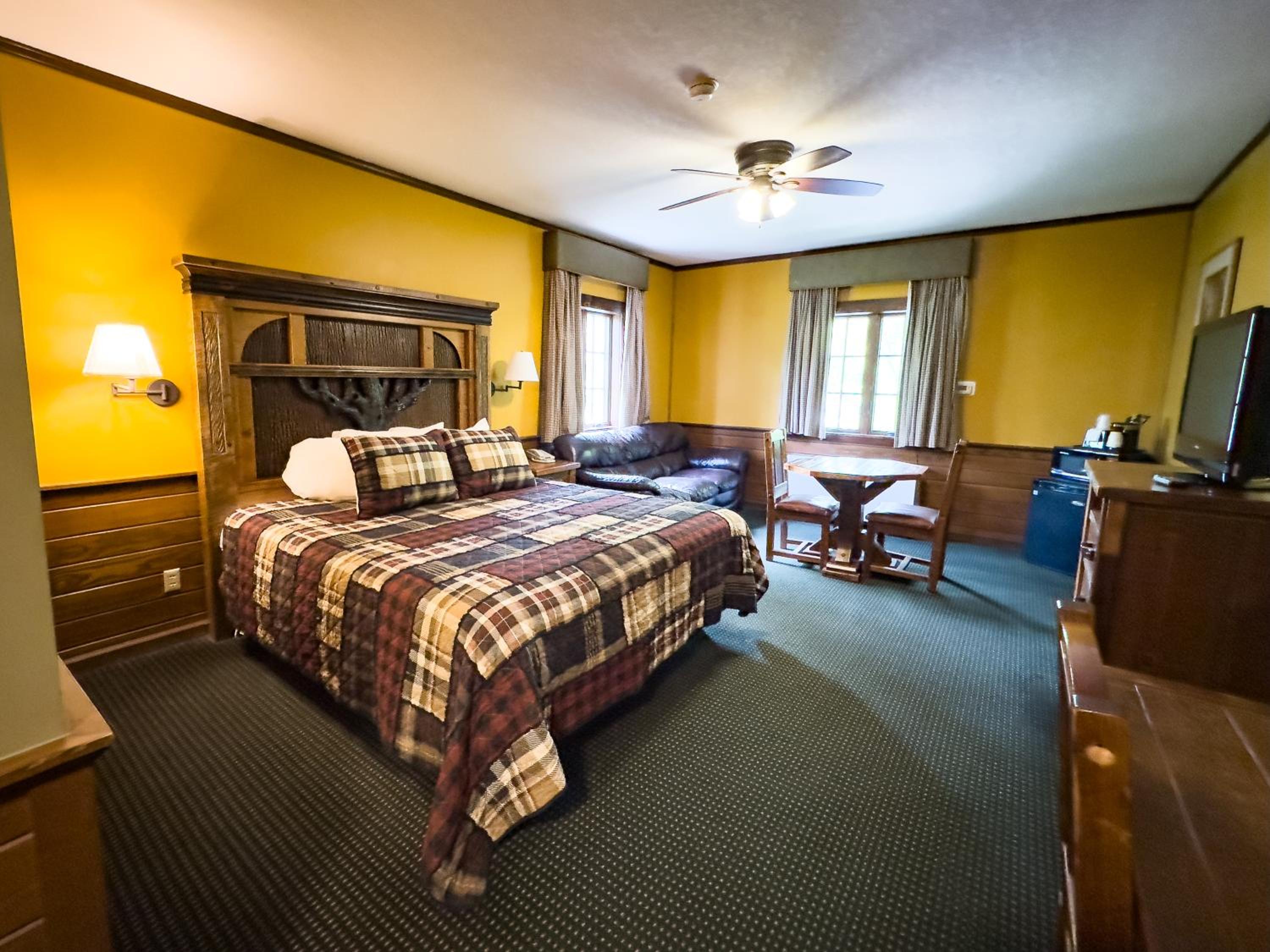 Large Single Room photo 1