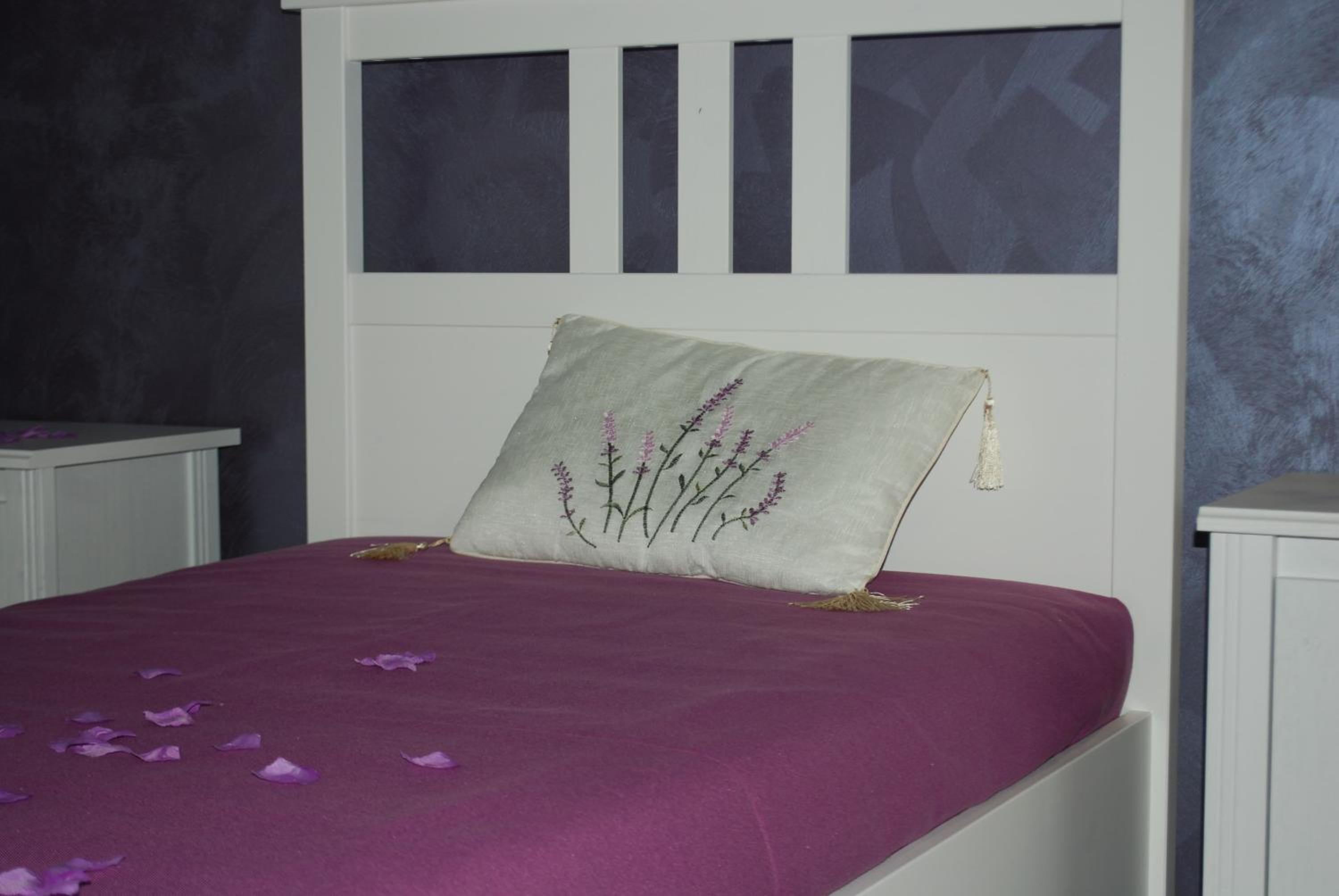 Triple Room with Garden View photo 1