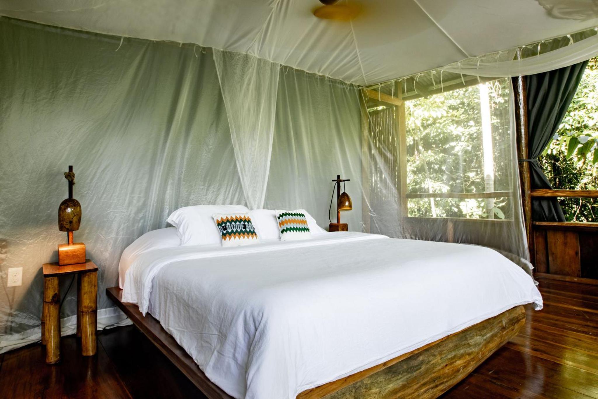 King Treetop Bungalow photo 3