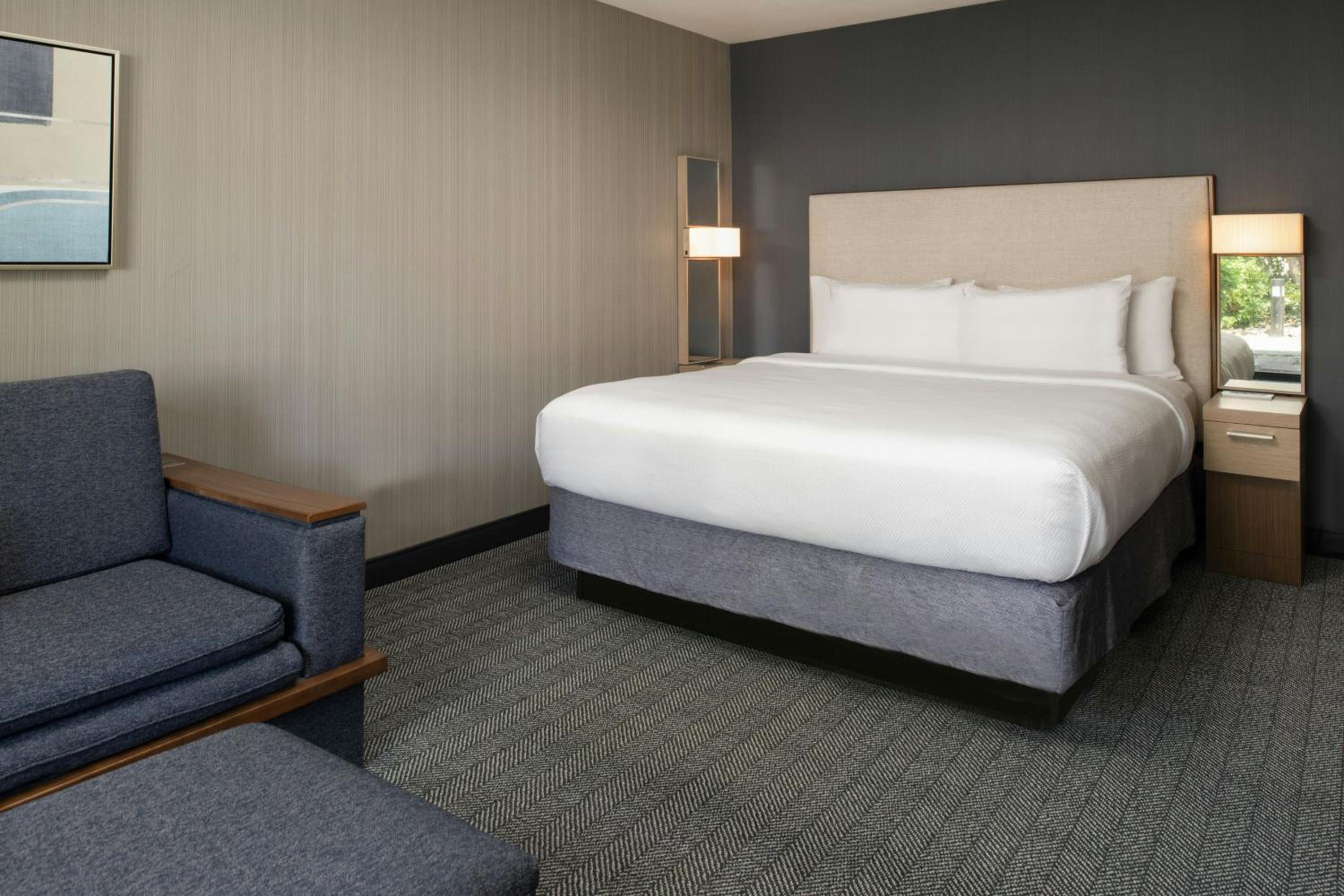 King Room with Sofa Bed and Roll-in Shower - Mobility and Hearing Accessible - Photo 3