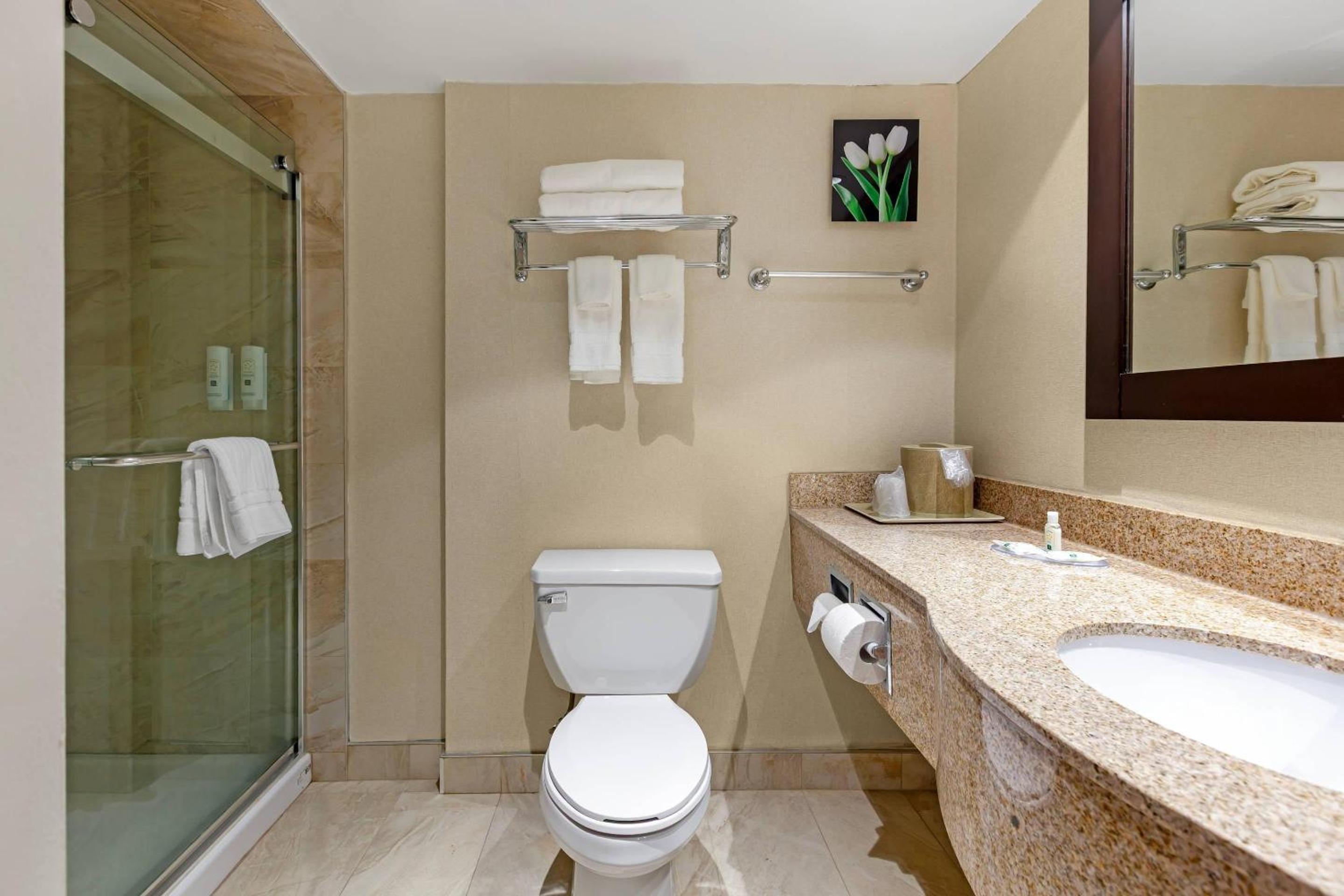 King Suite with Living Room - Non Smoking - Photo 2