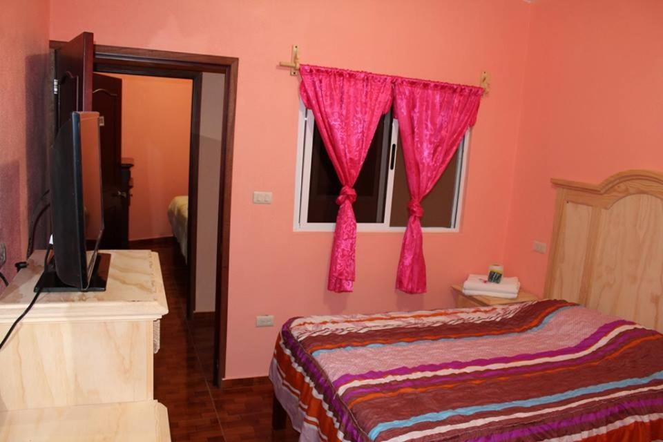 Twin Room - Photo 8