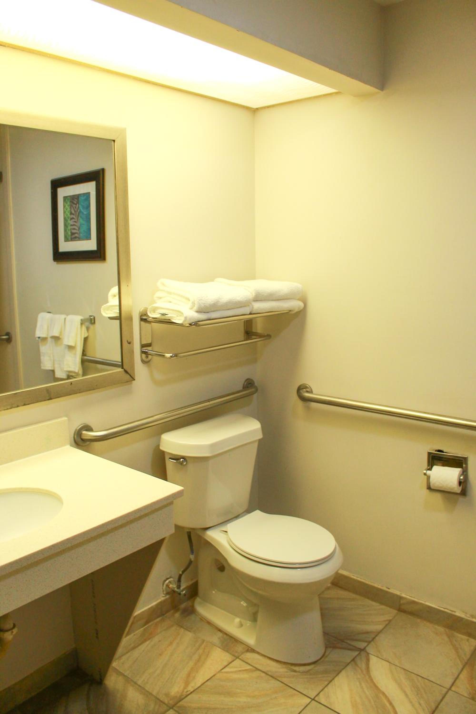 King Room with Bathtub w/Grab Bars - Mobility Access/Non-Smoking - Photo 4