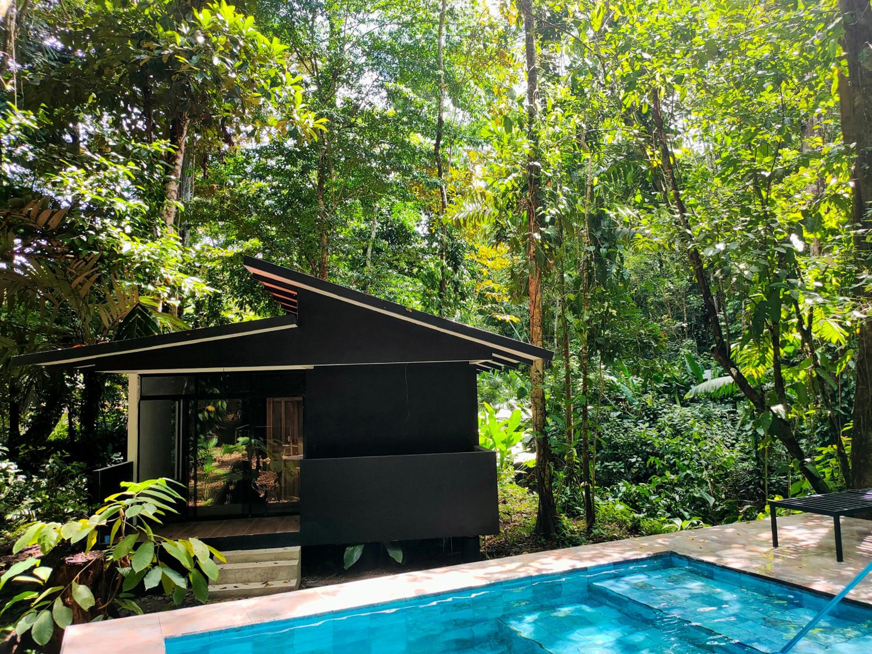 Two-Bedroom Apartment with Pool View photo 3