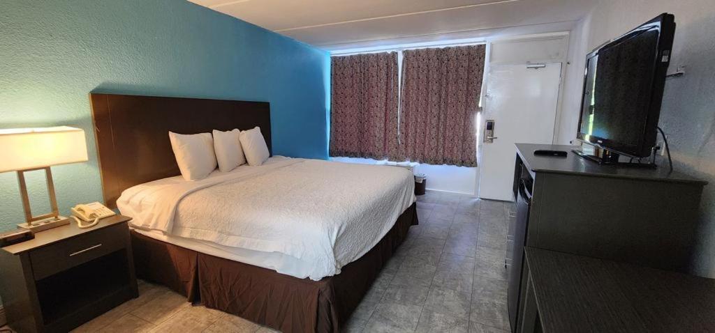 King Room - Non-Smoking - Photo 4