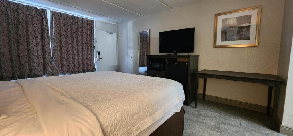 King Room - Non-Smoking - Photo 5