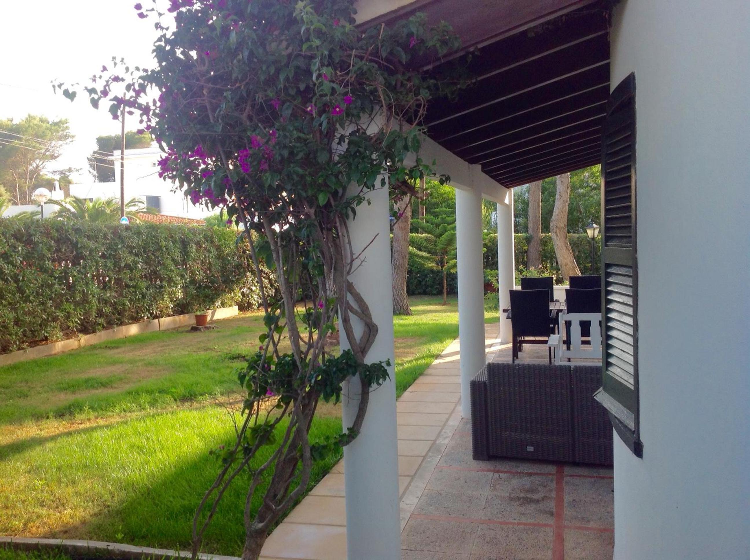 Apartment - Ground Floor photo 3