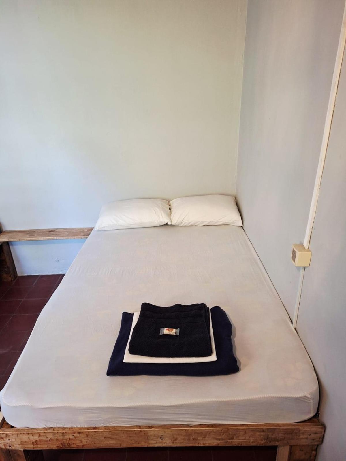 Twin Room with Garden View photo 3
