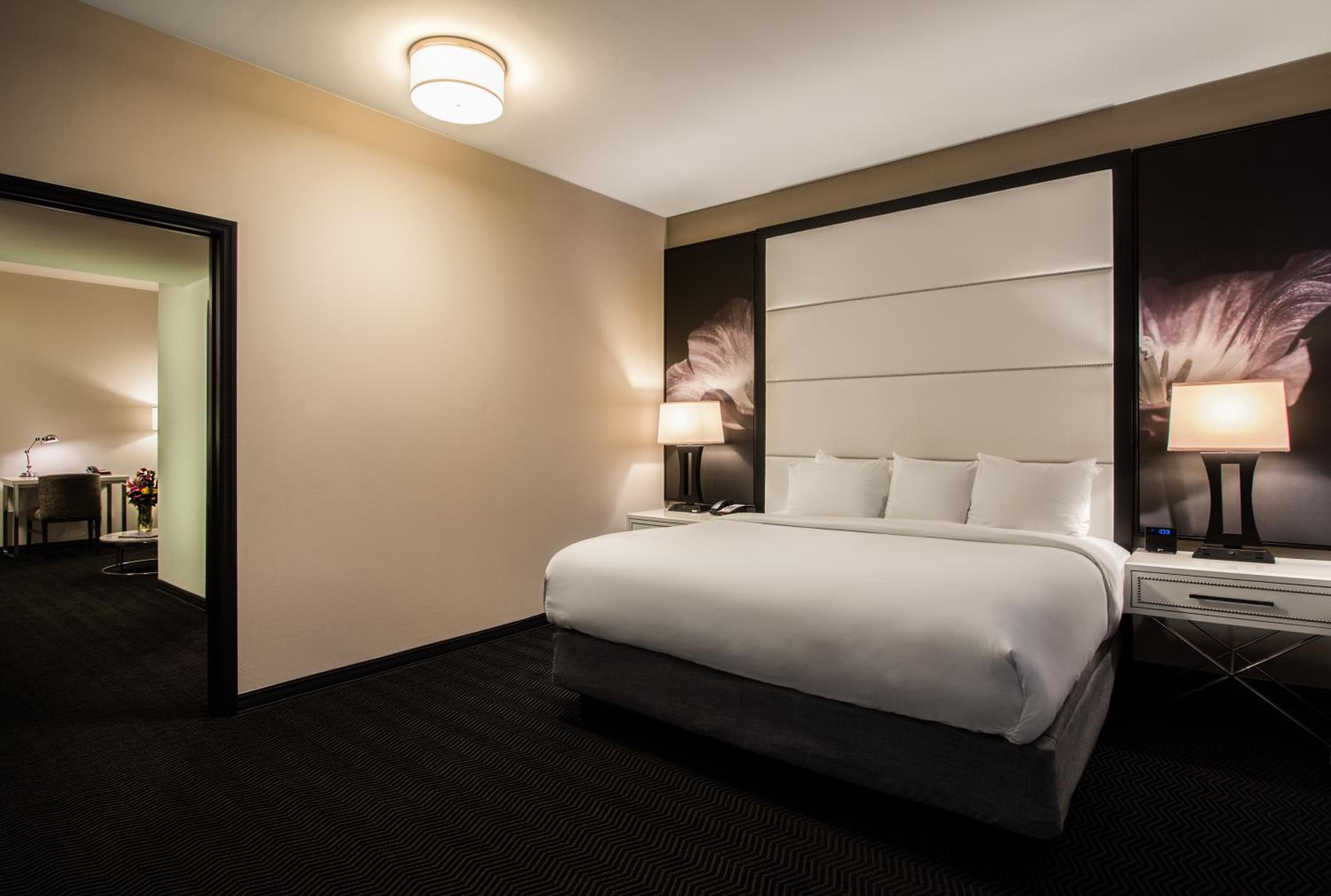 King Suite - Mobility Access/Non-Smoking - Photo 7