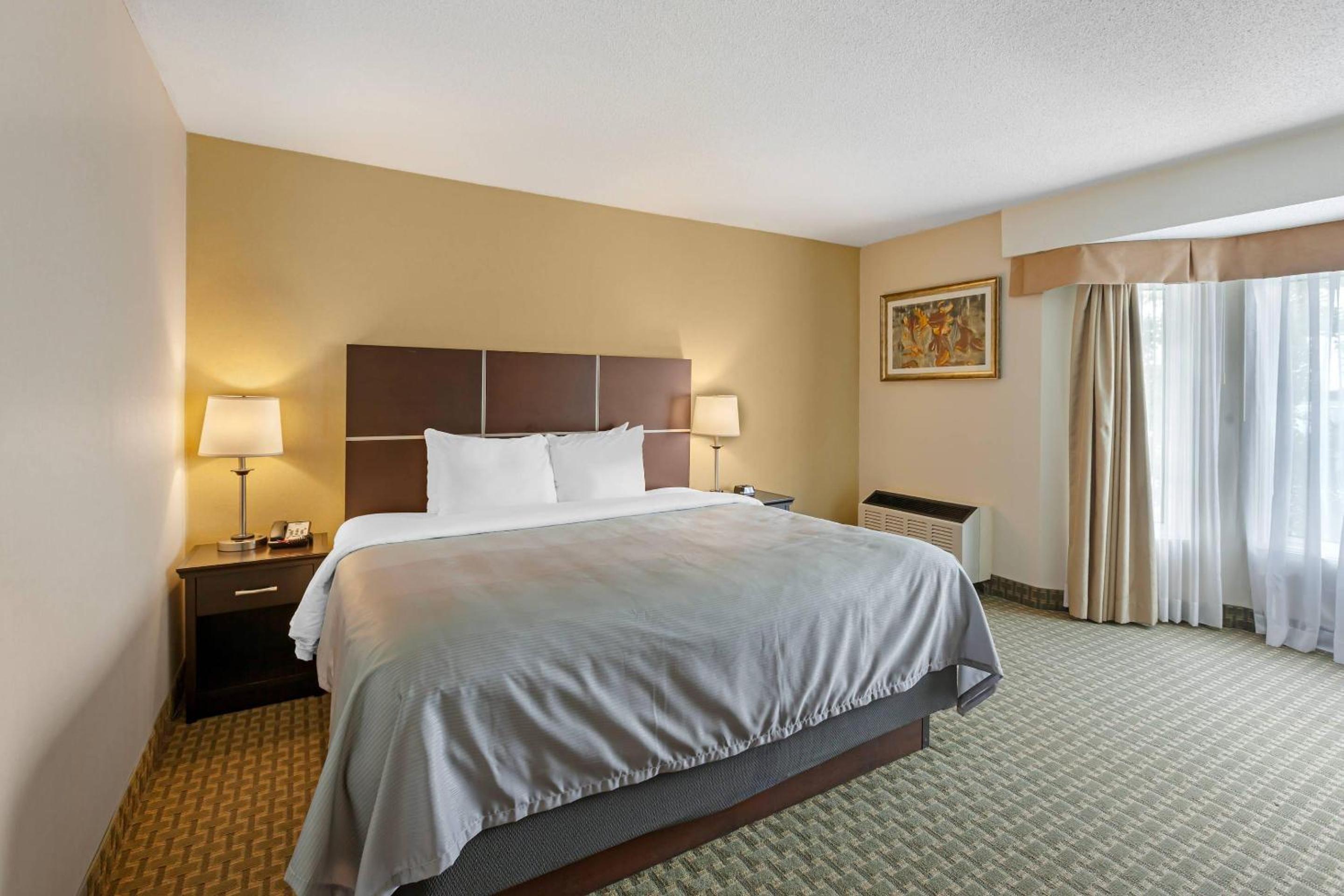 King Suite with Living Room - Non Smoking - Photo 4