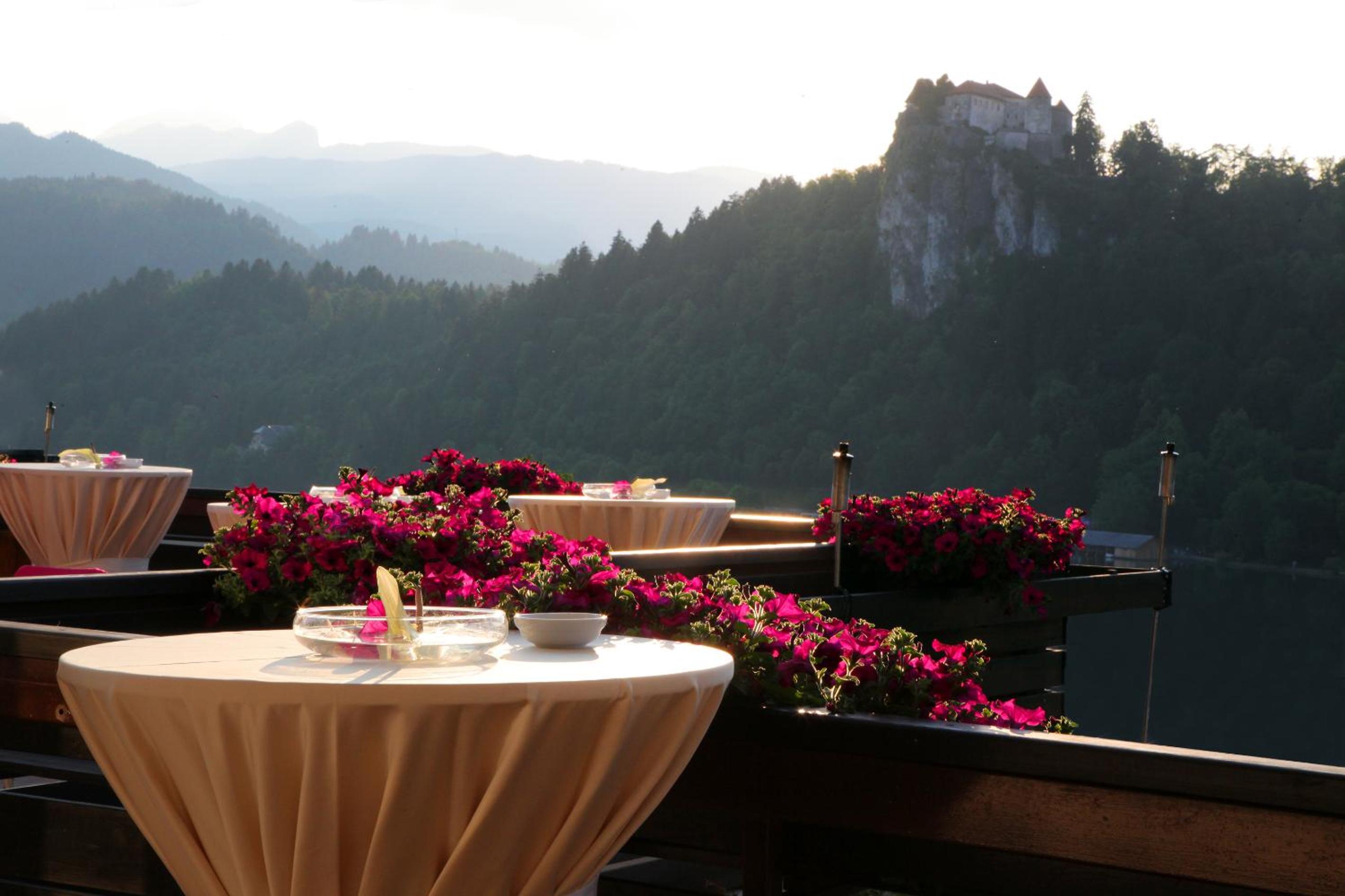 Balcony & Terrace