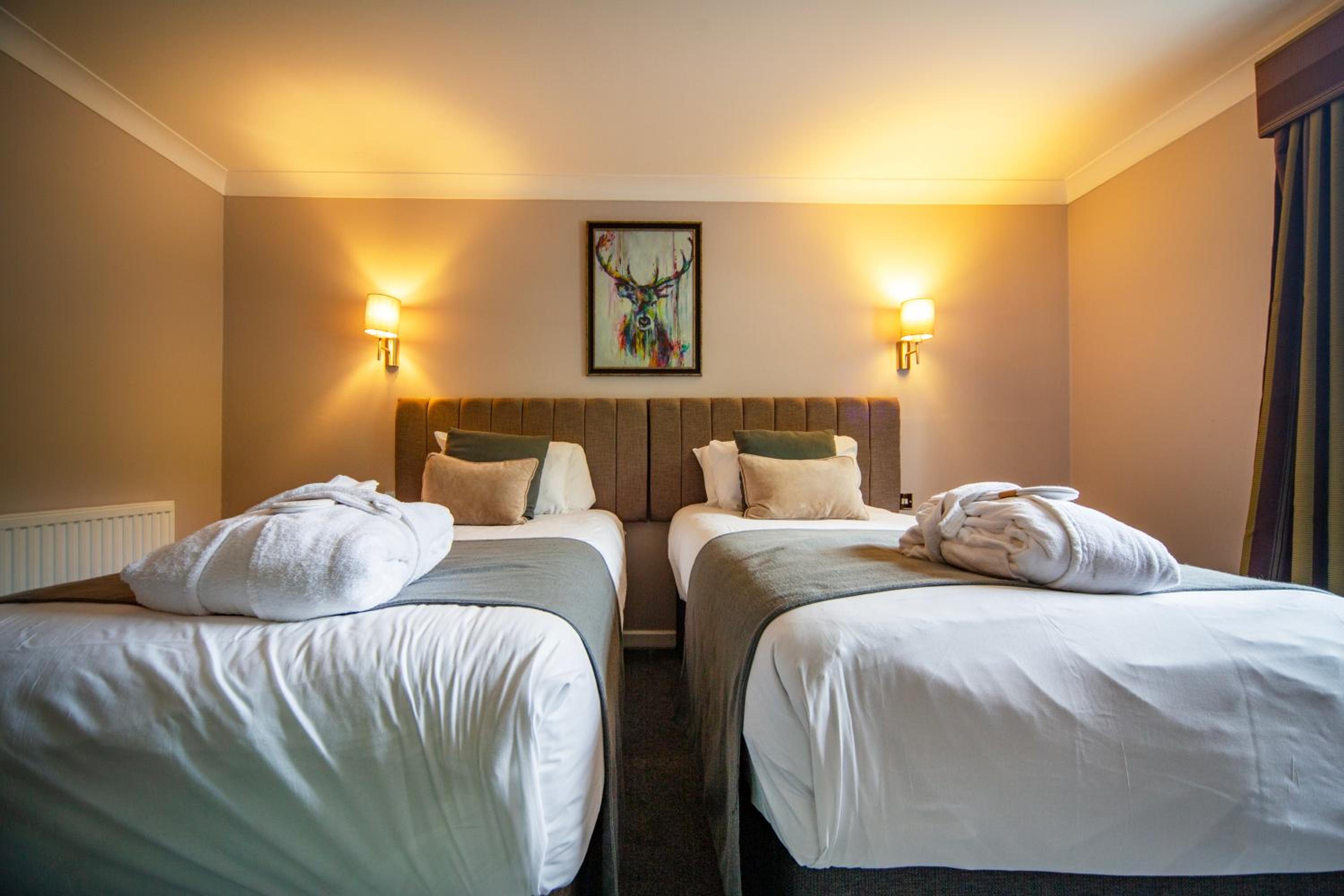 Deluxe Twin Room photo 2