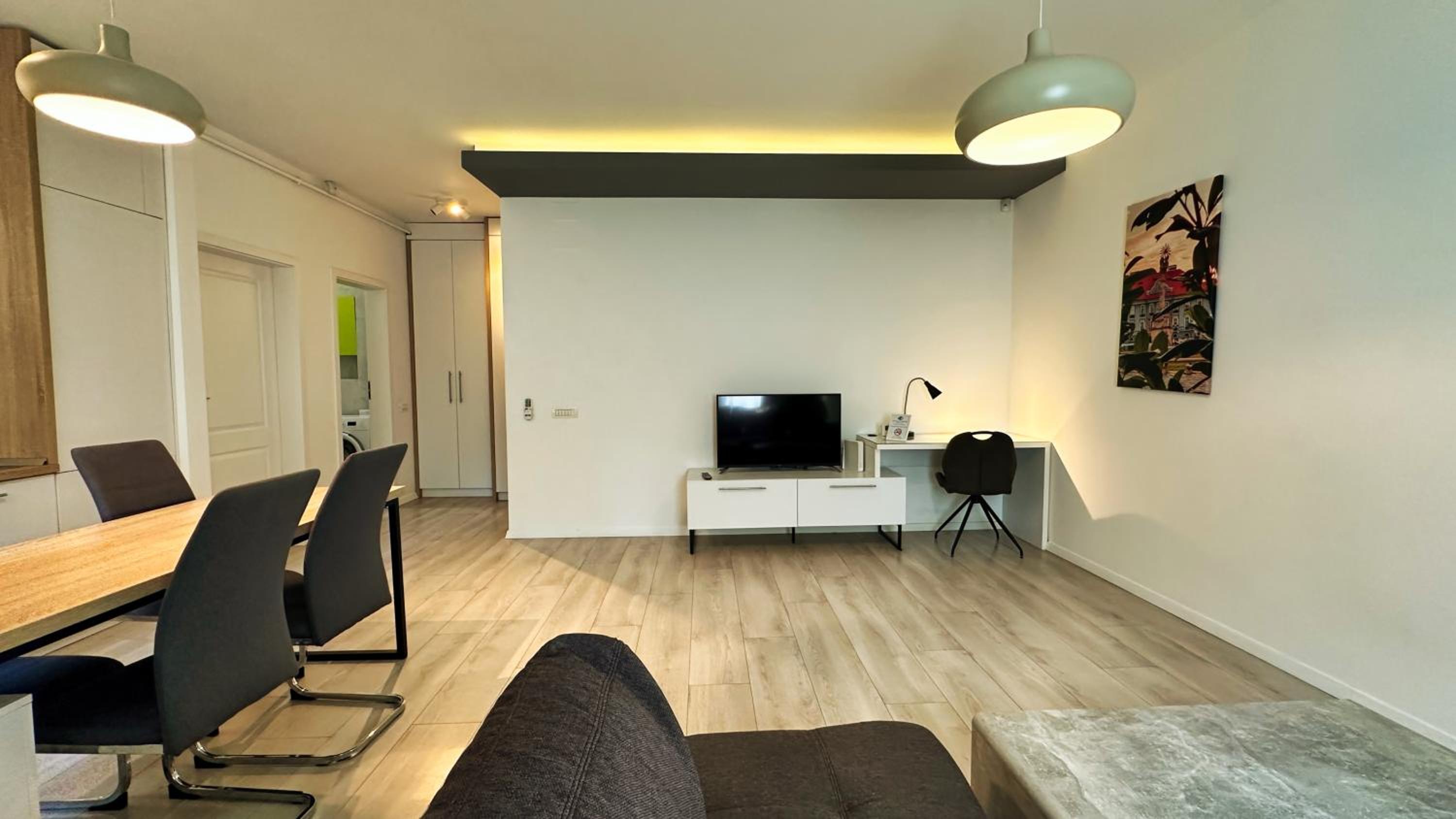 One-Bedroom Family Apartment photo 2
