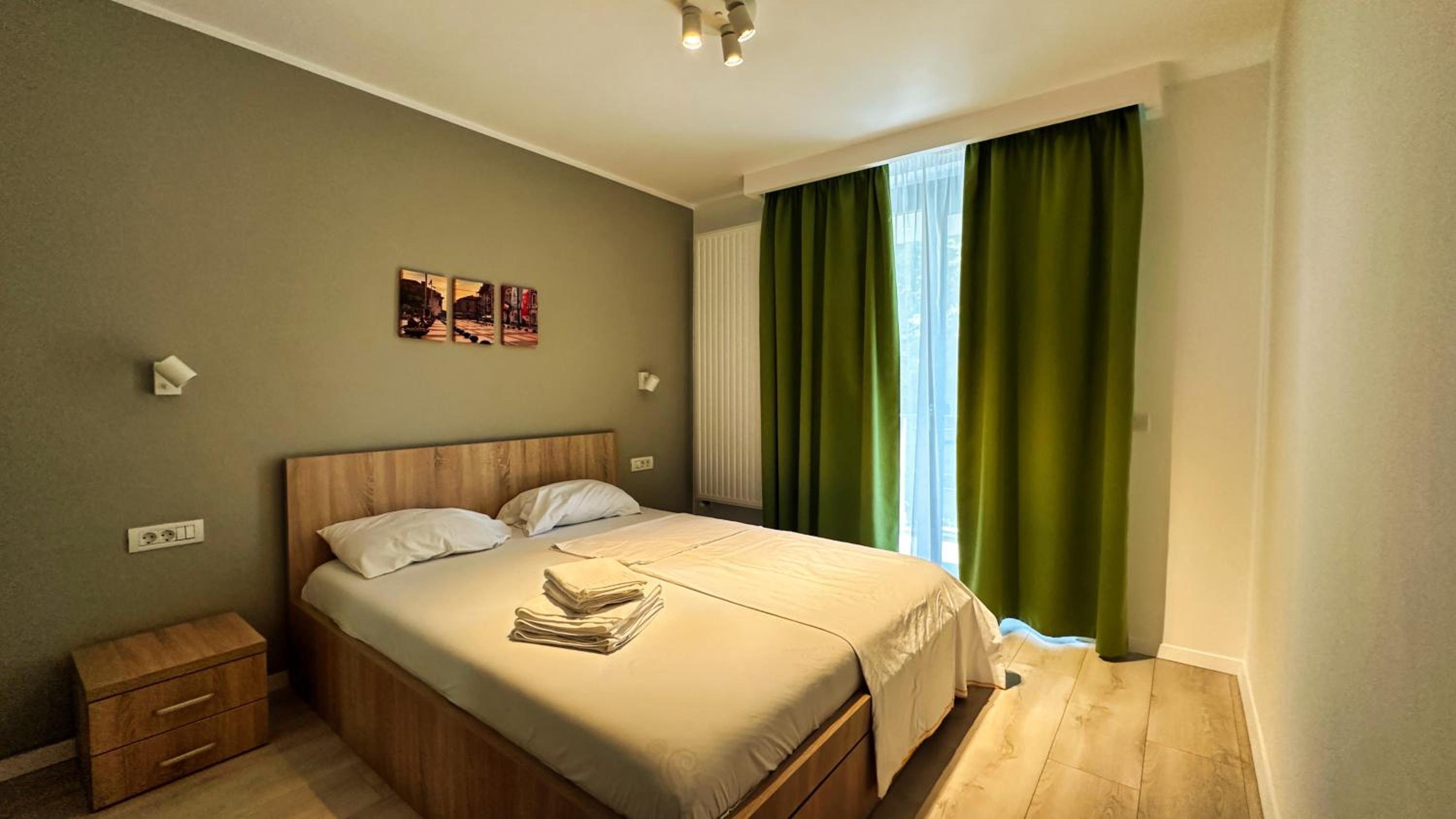 Superior One-Bedroom Apartment with Balcony photo 3