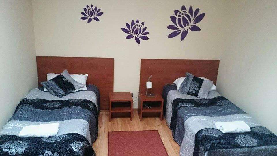 Standard Twin Room photo 3