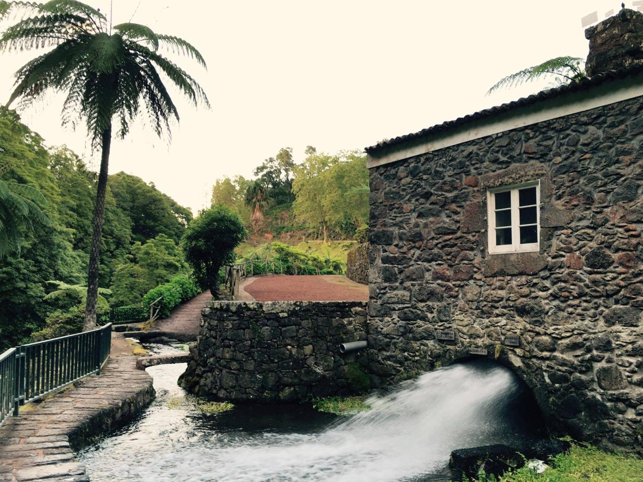 Family Bungalow photo 2