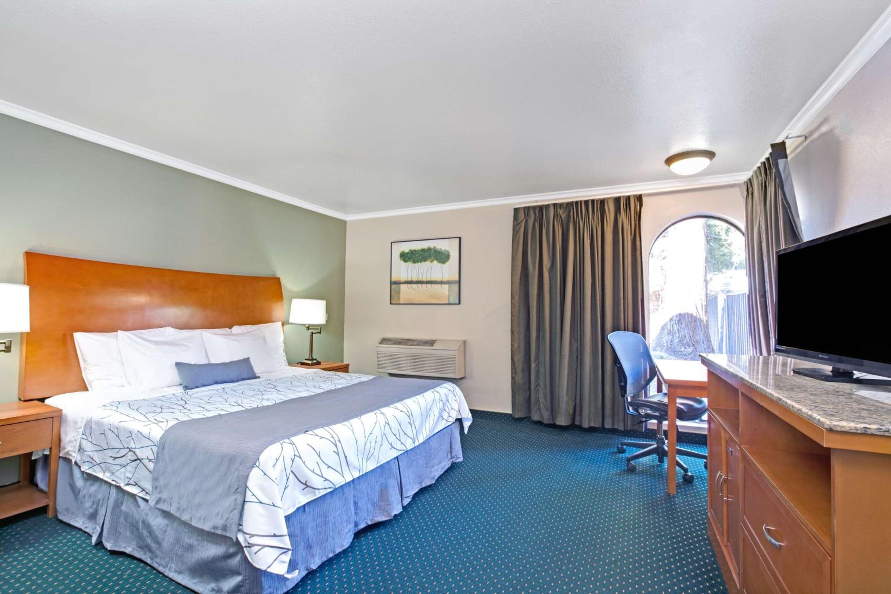 Queen Room - Non-Smoking - Photo 4