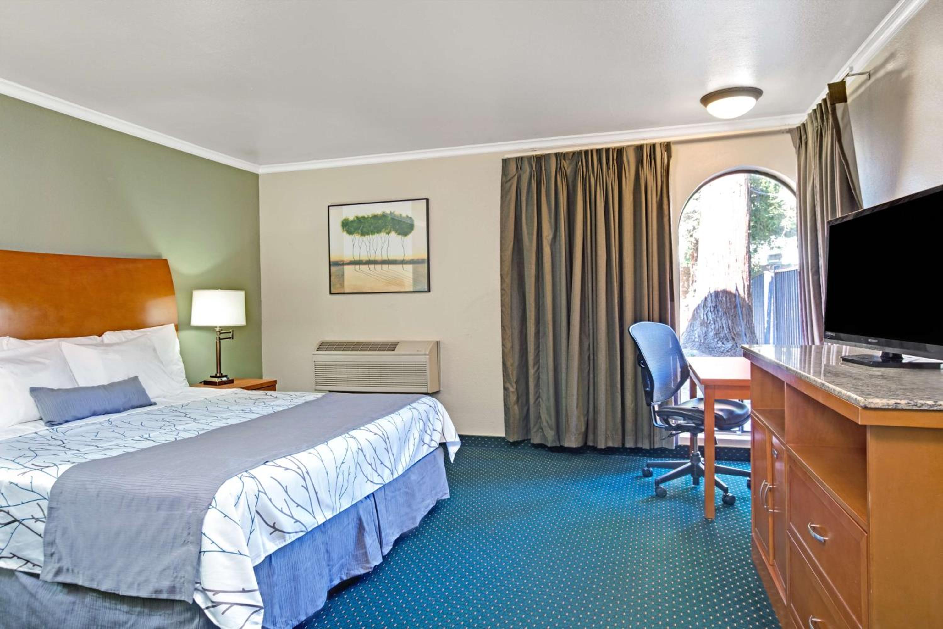 Queen Room - Non-Smoking - Photo 11