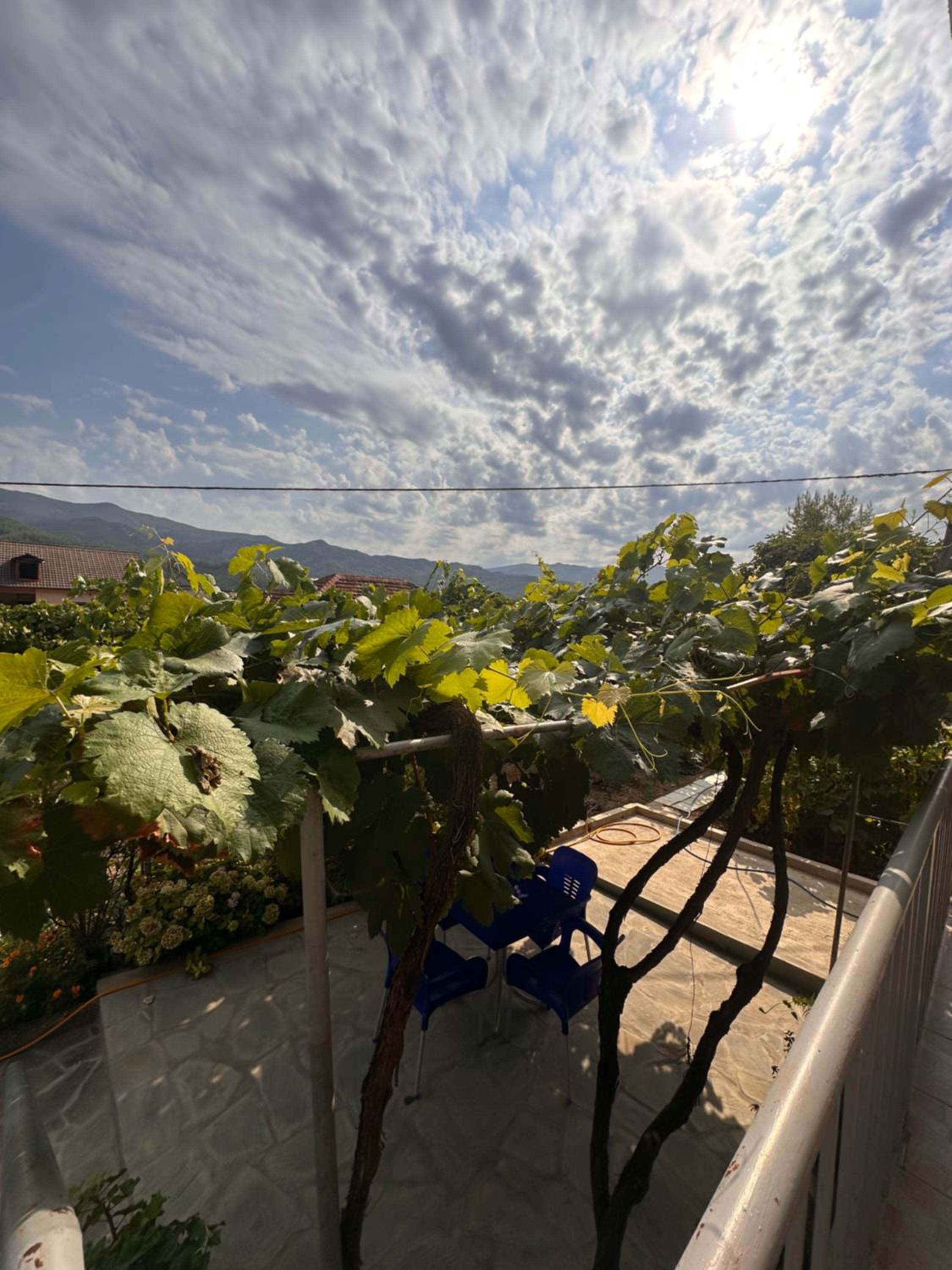 Apartment with Mountain View