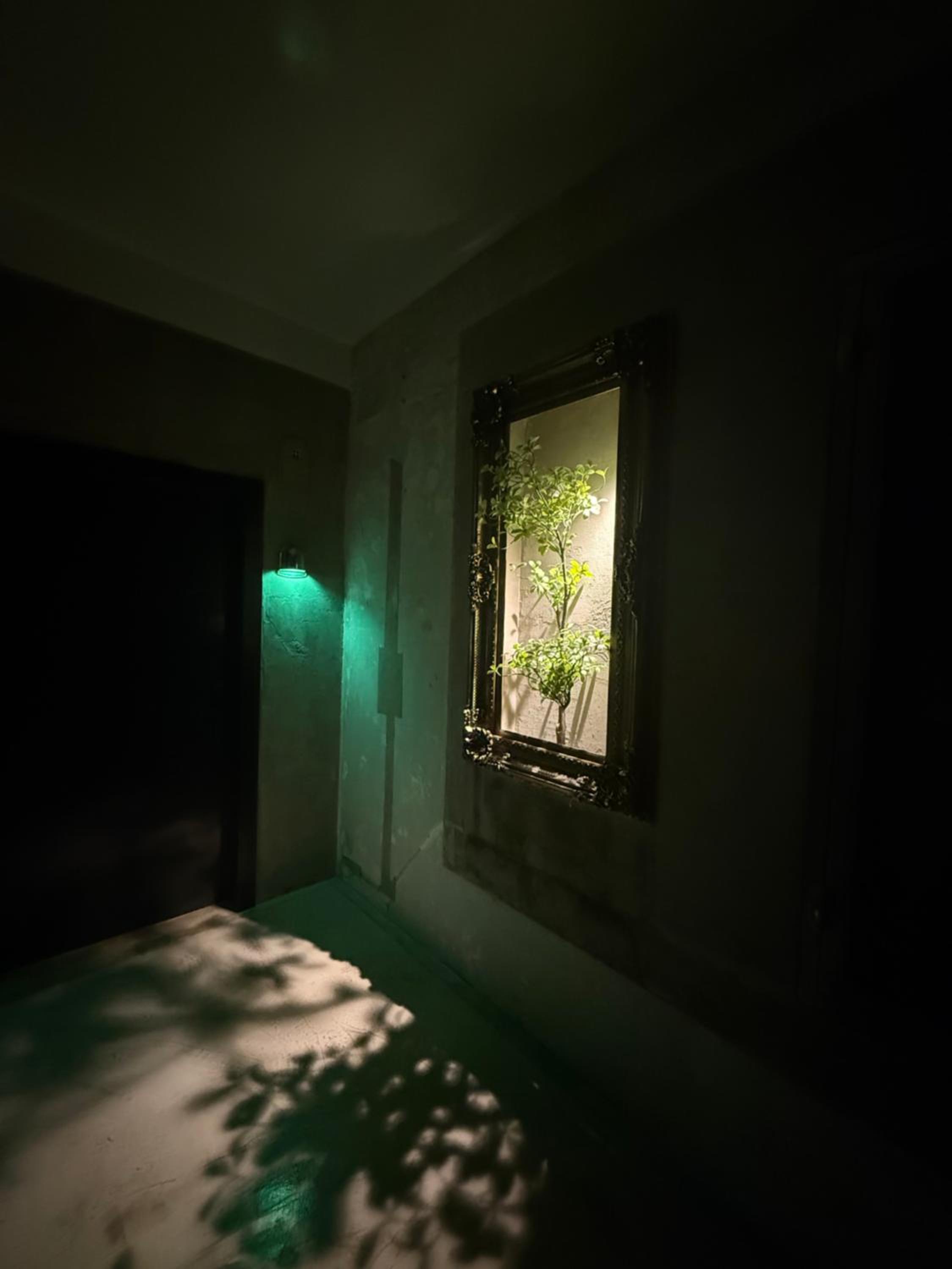 Premium Quadruple Room