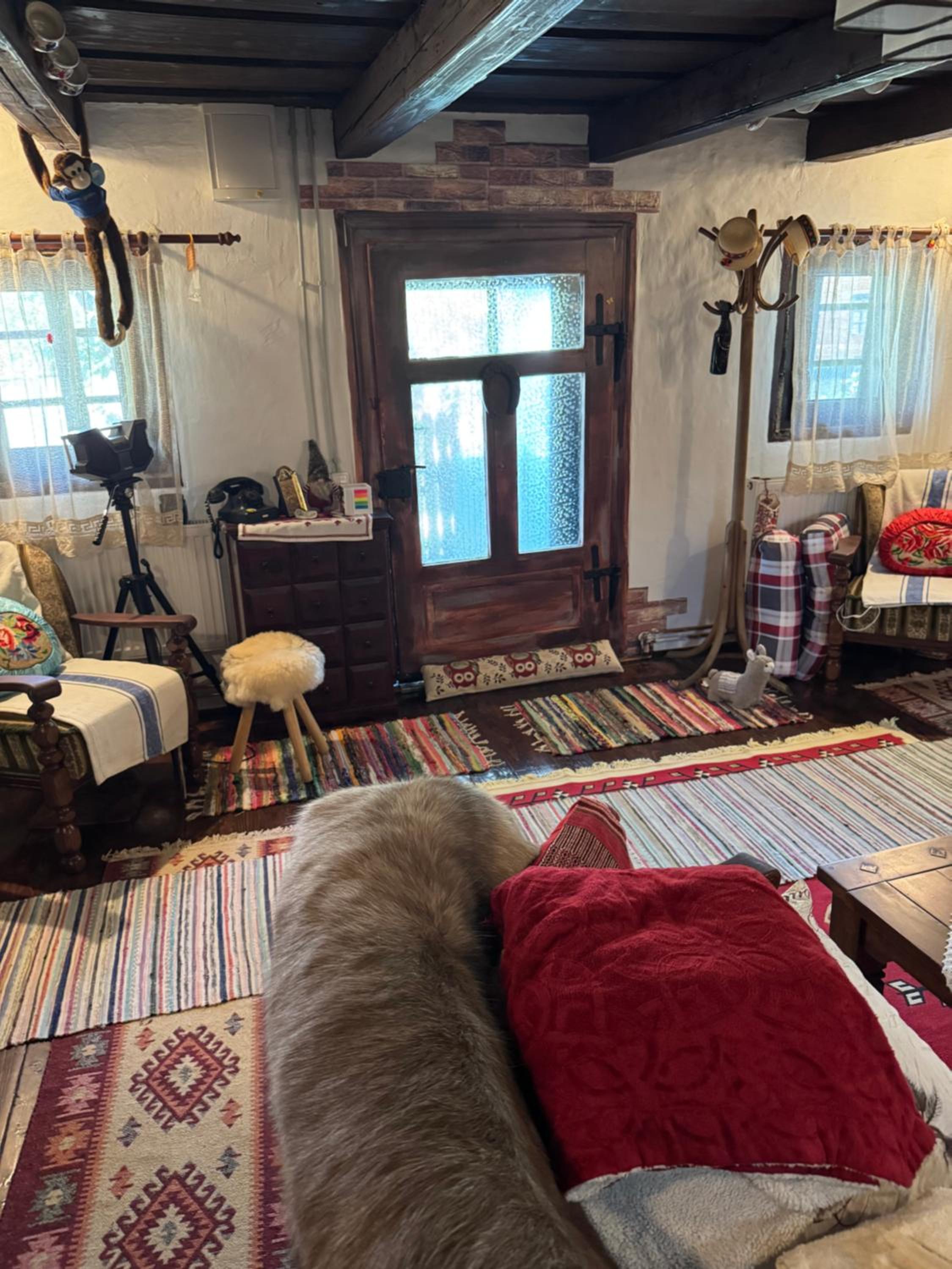 One-Bedroom House photo 1