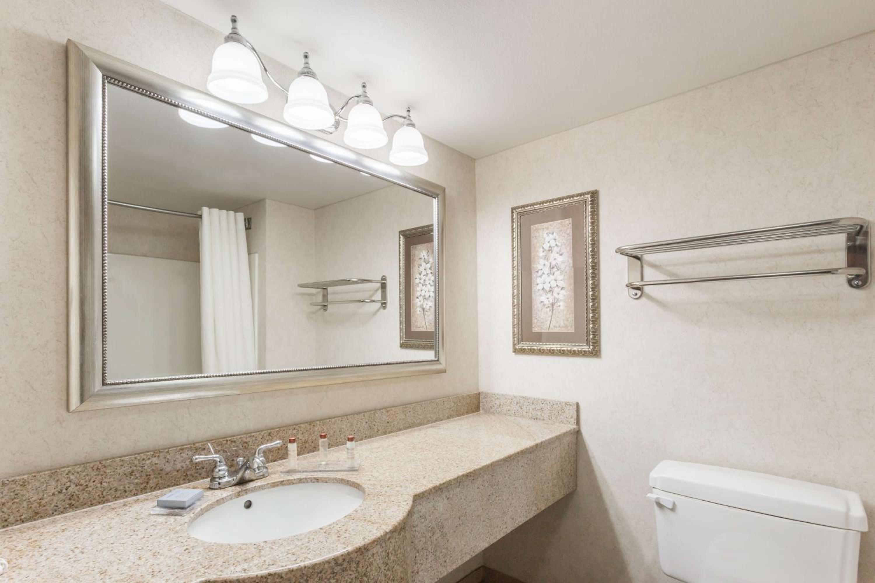 Deluxxe King Studio Suite - Mobility Accessible/Non-Smoking - Photo 2