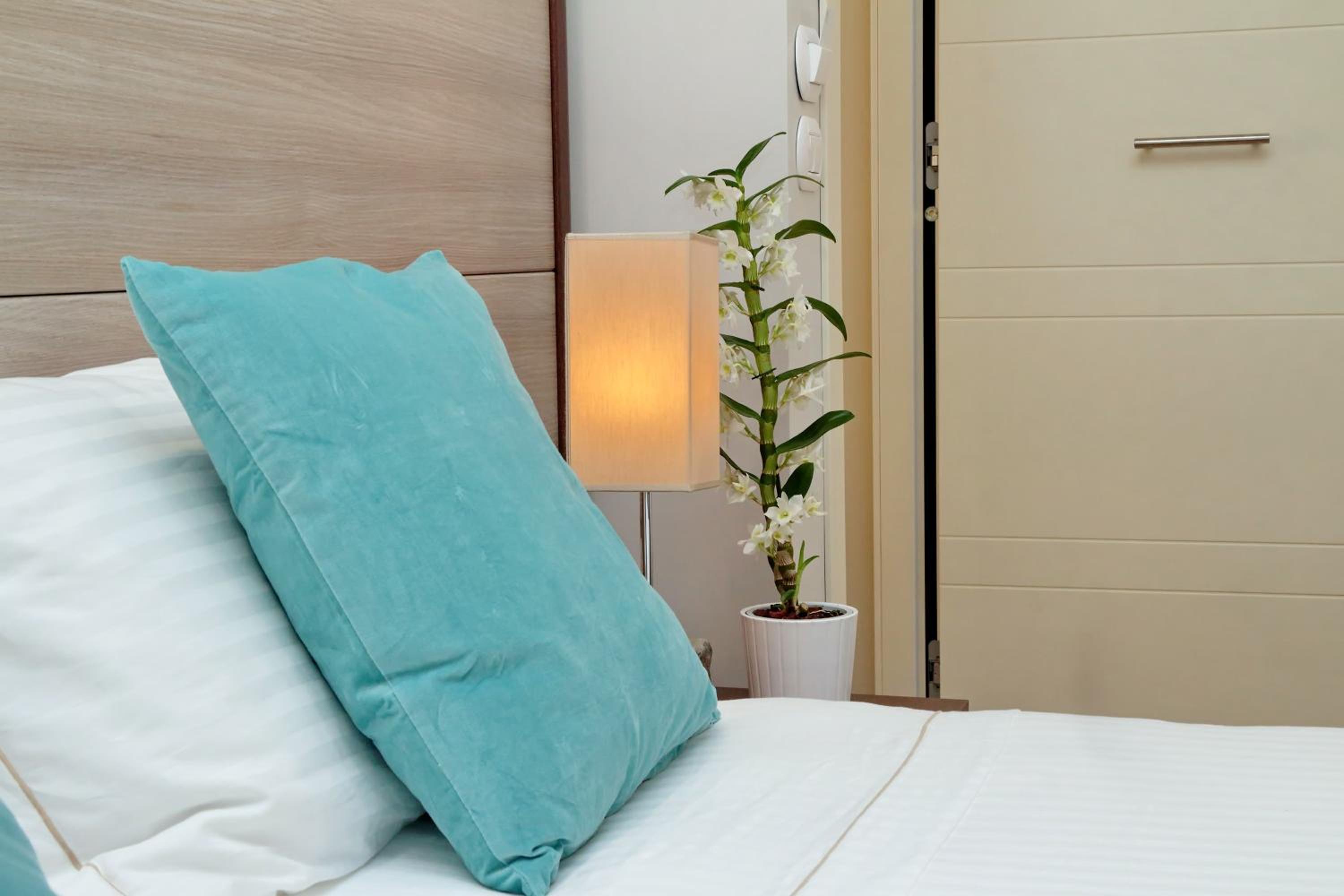 Superior Double Room photo 3