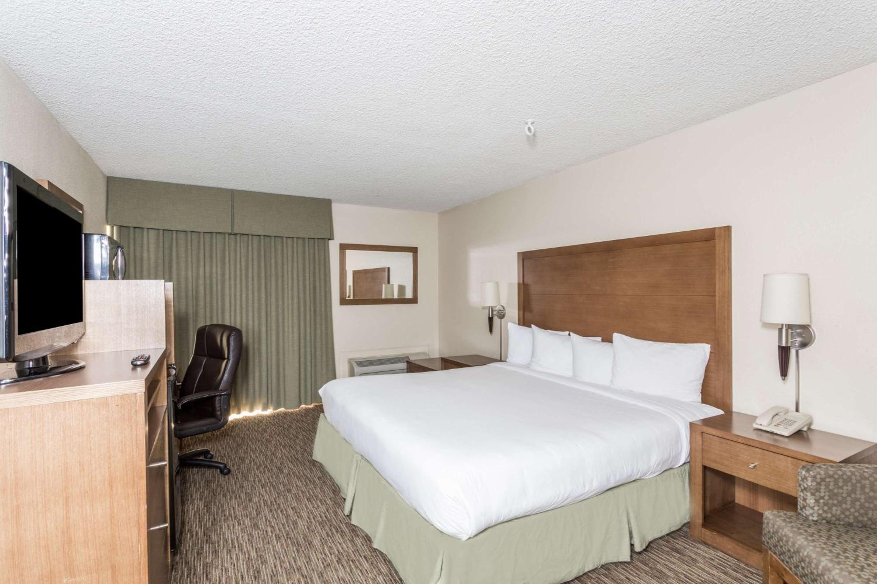 King Suite- Non-Smoking photo 3