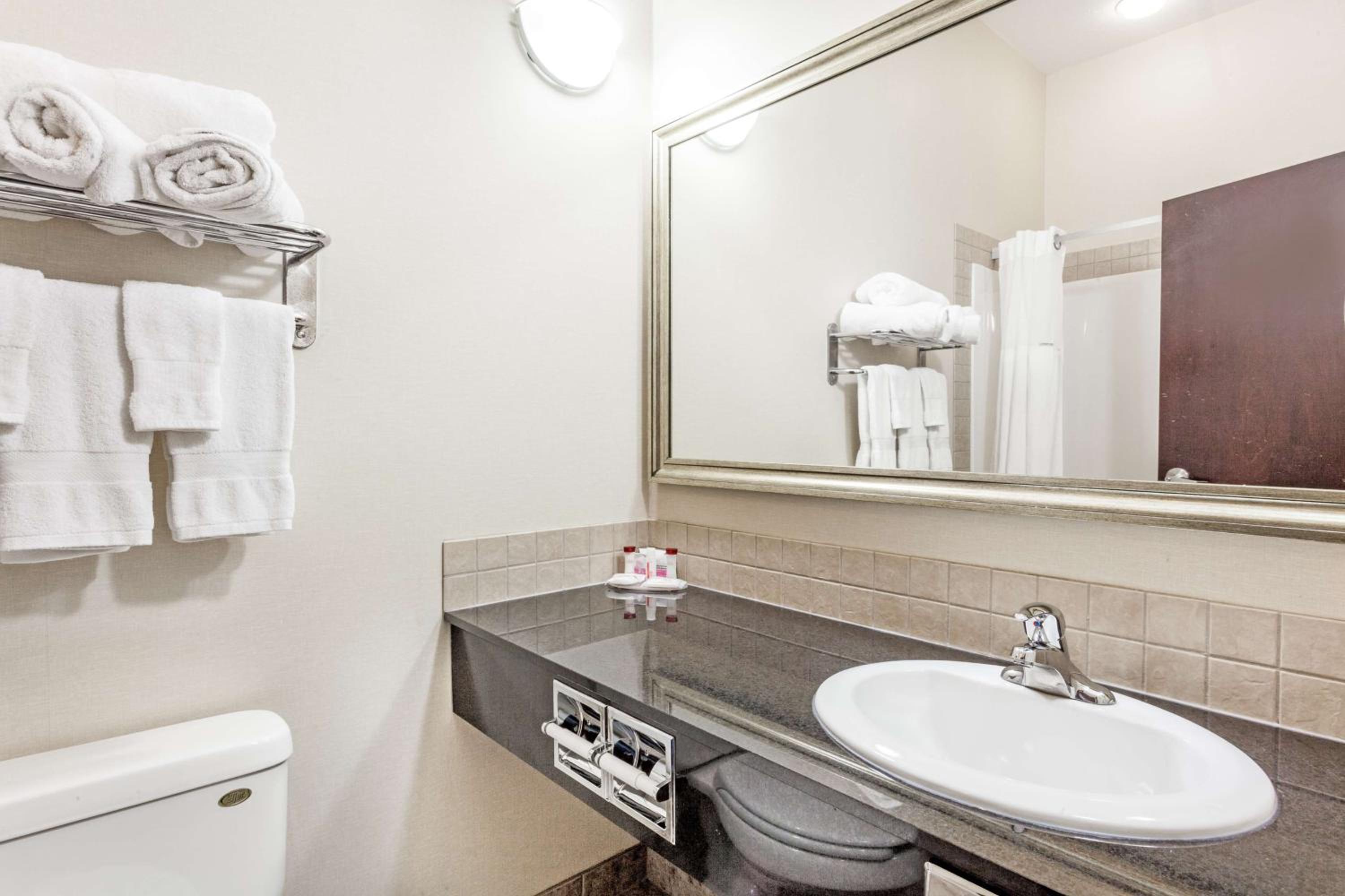 Deluxe King Suite - Photo 4