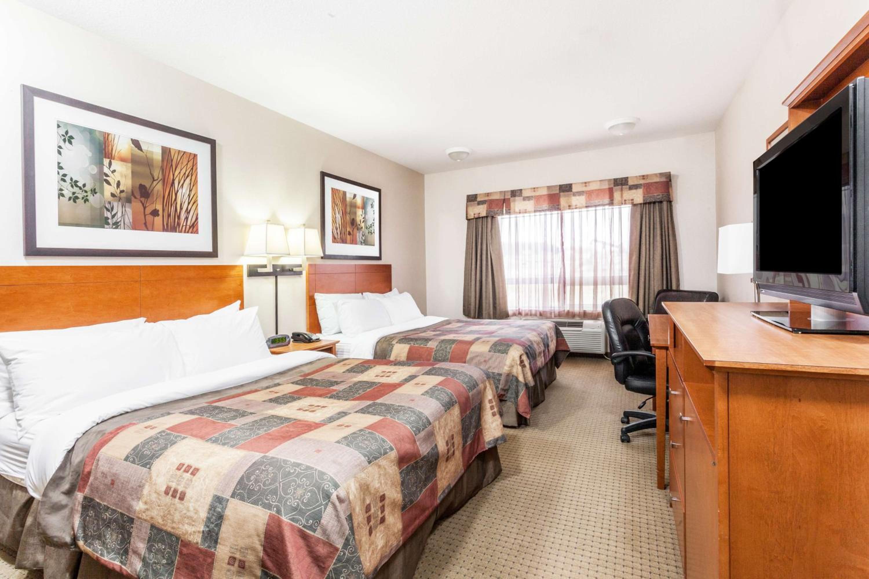 Deluxe Queen Studio with Two Queen Beds - Non-Smoking - Photo 3
