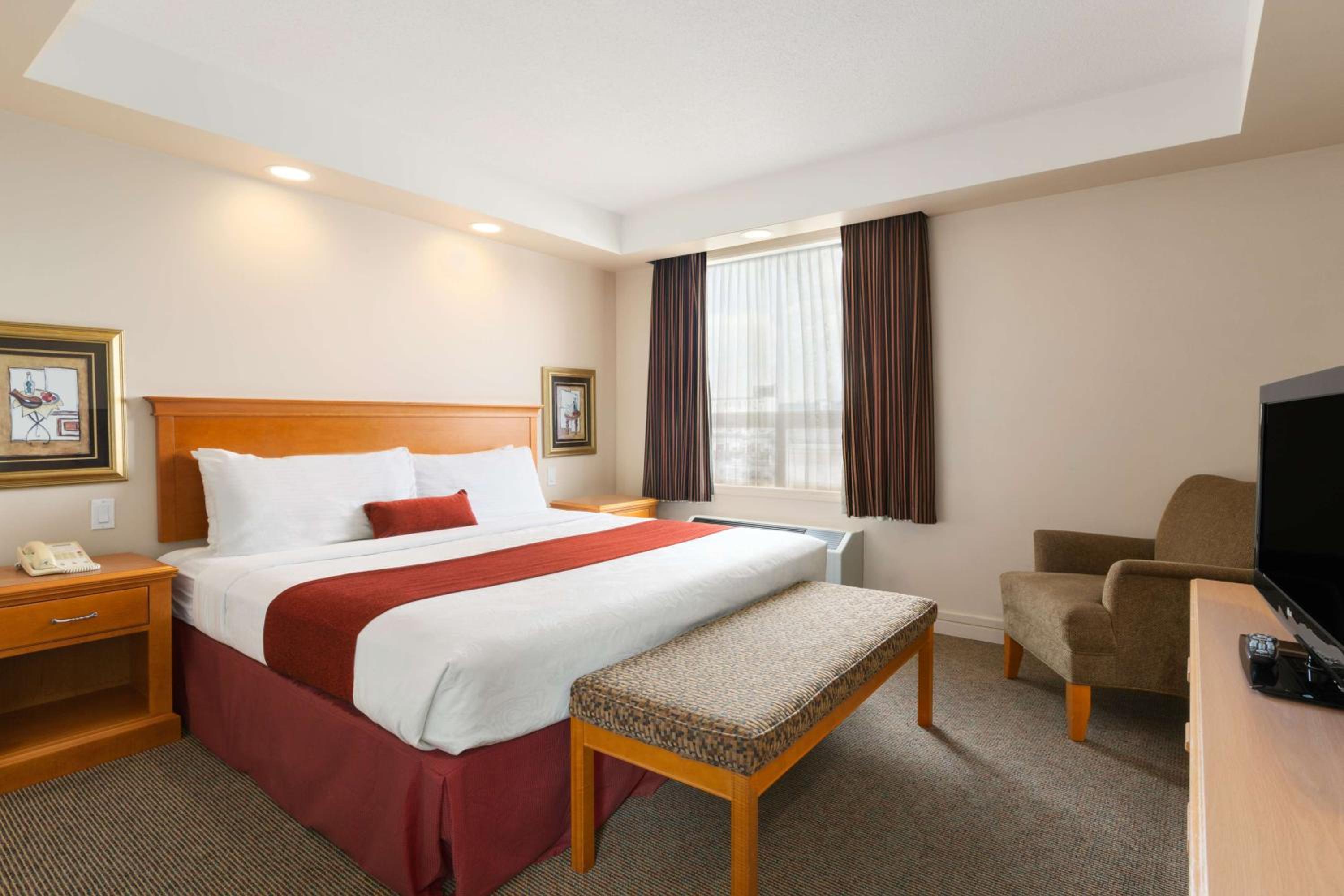 Business King Room with Sofa Bed photo 1