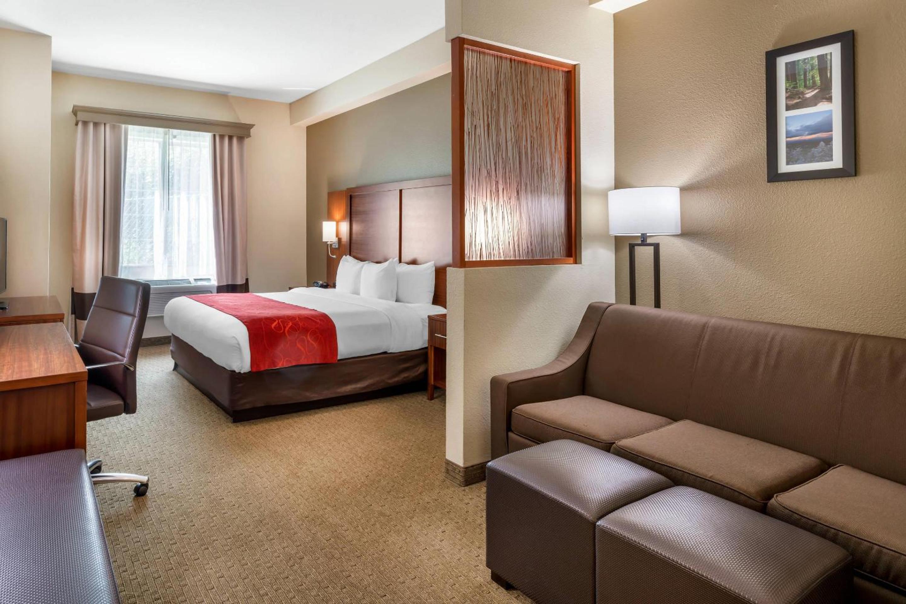 King Suite - Accessible/Non-Smoking - Photo 1