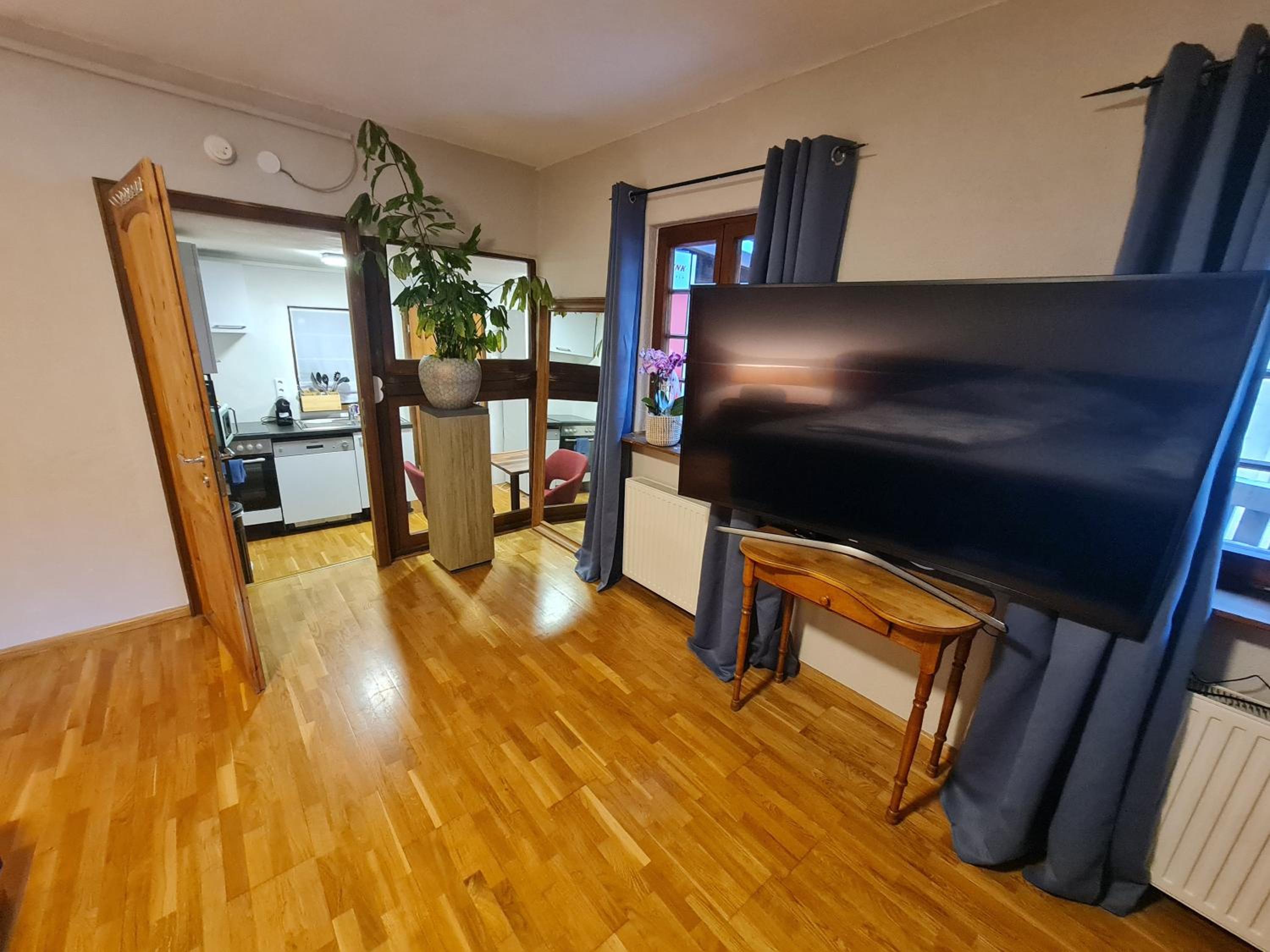 Superior One-Bedroom Apartment with Balcony photo 3