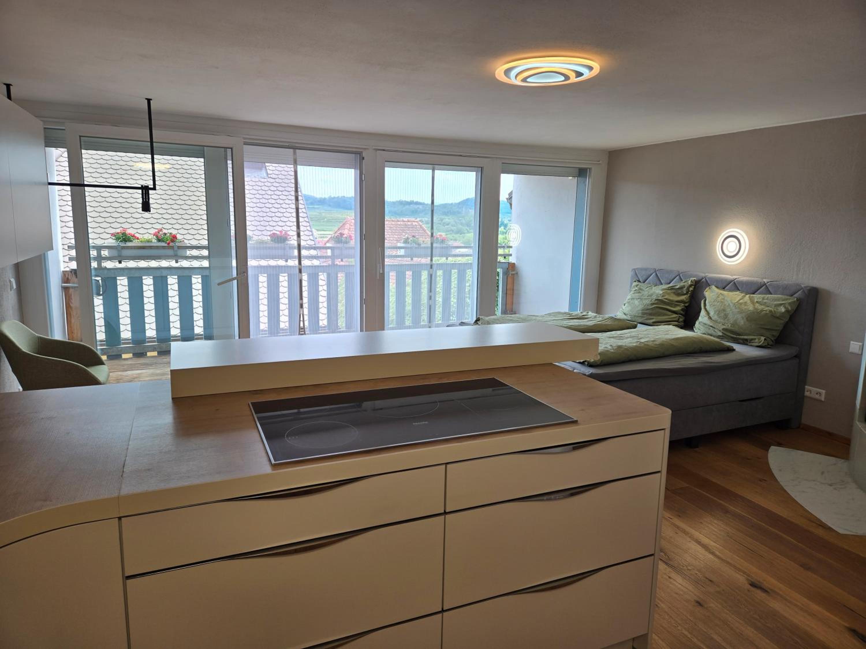 Superior One-Bedroom Apartment with Balcony photo 3