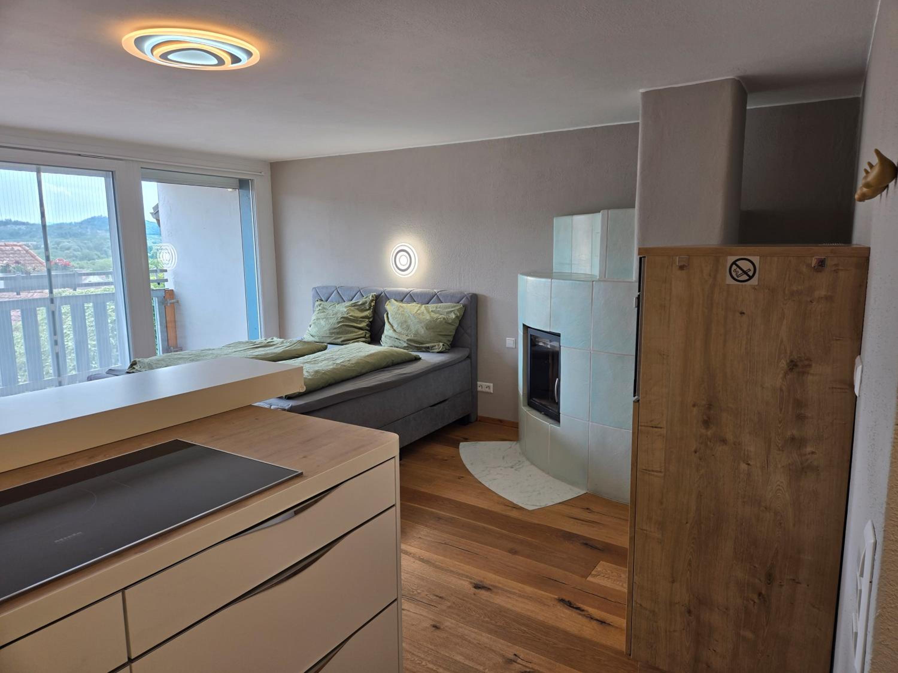 Superior One-Bedroom Apartment with Balcony photo 2