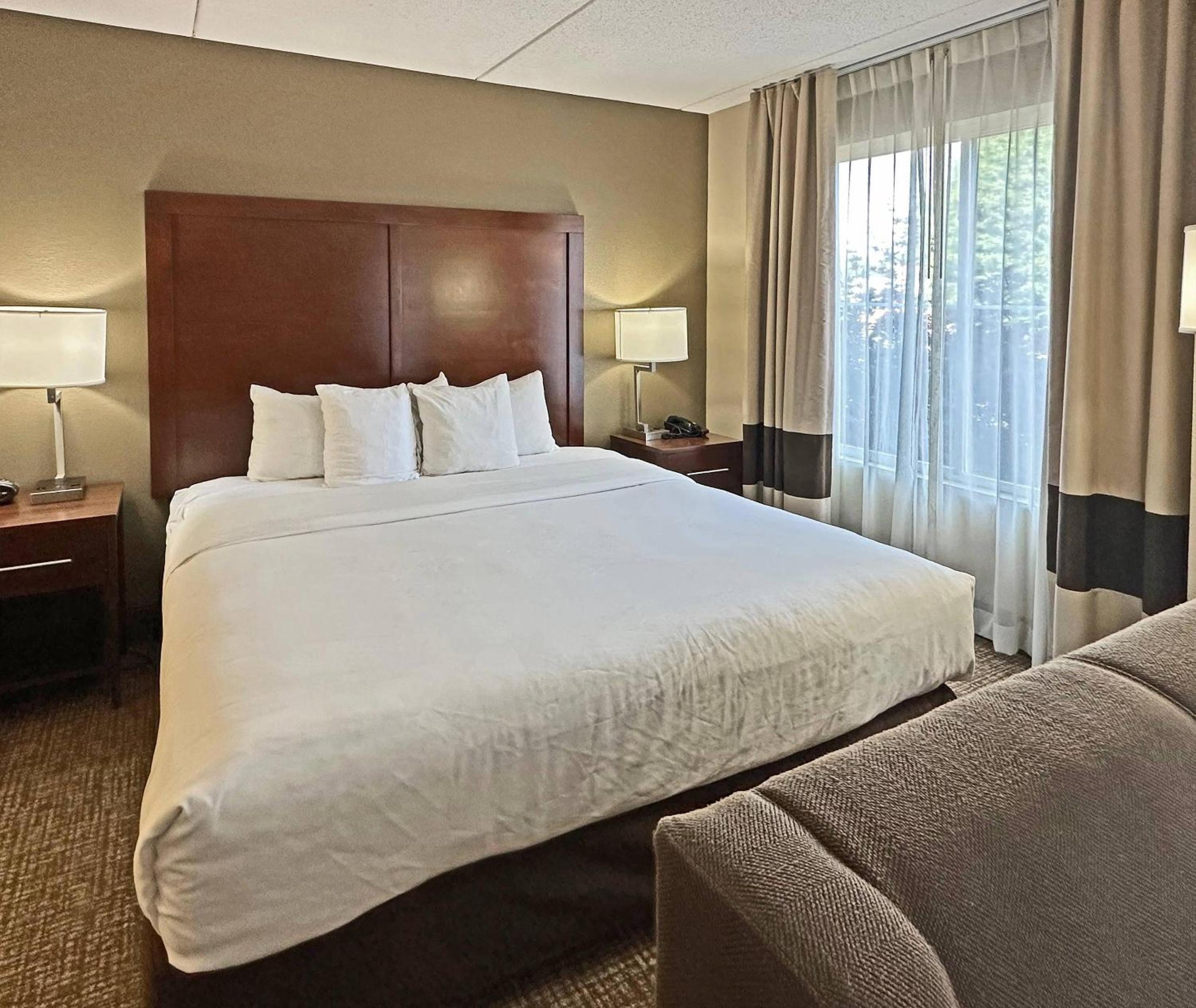 King Studio Suite - Photo 3