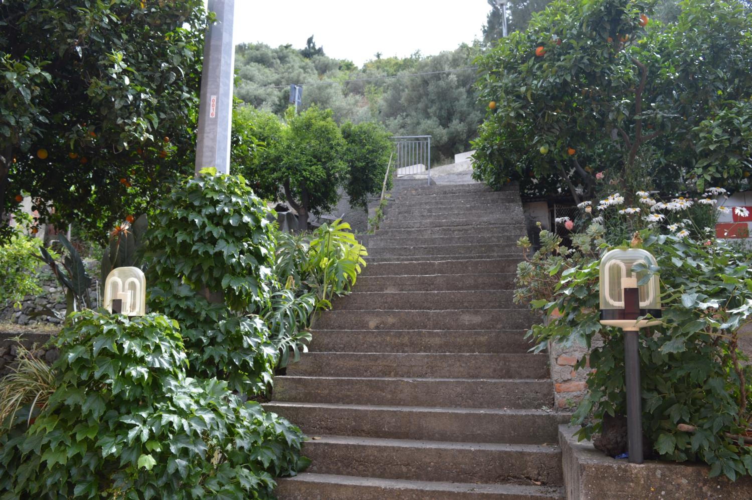 Apartment with Garden View photo 2