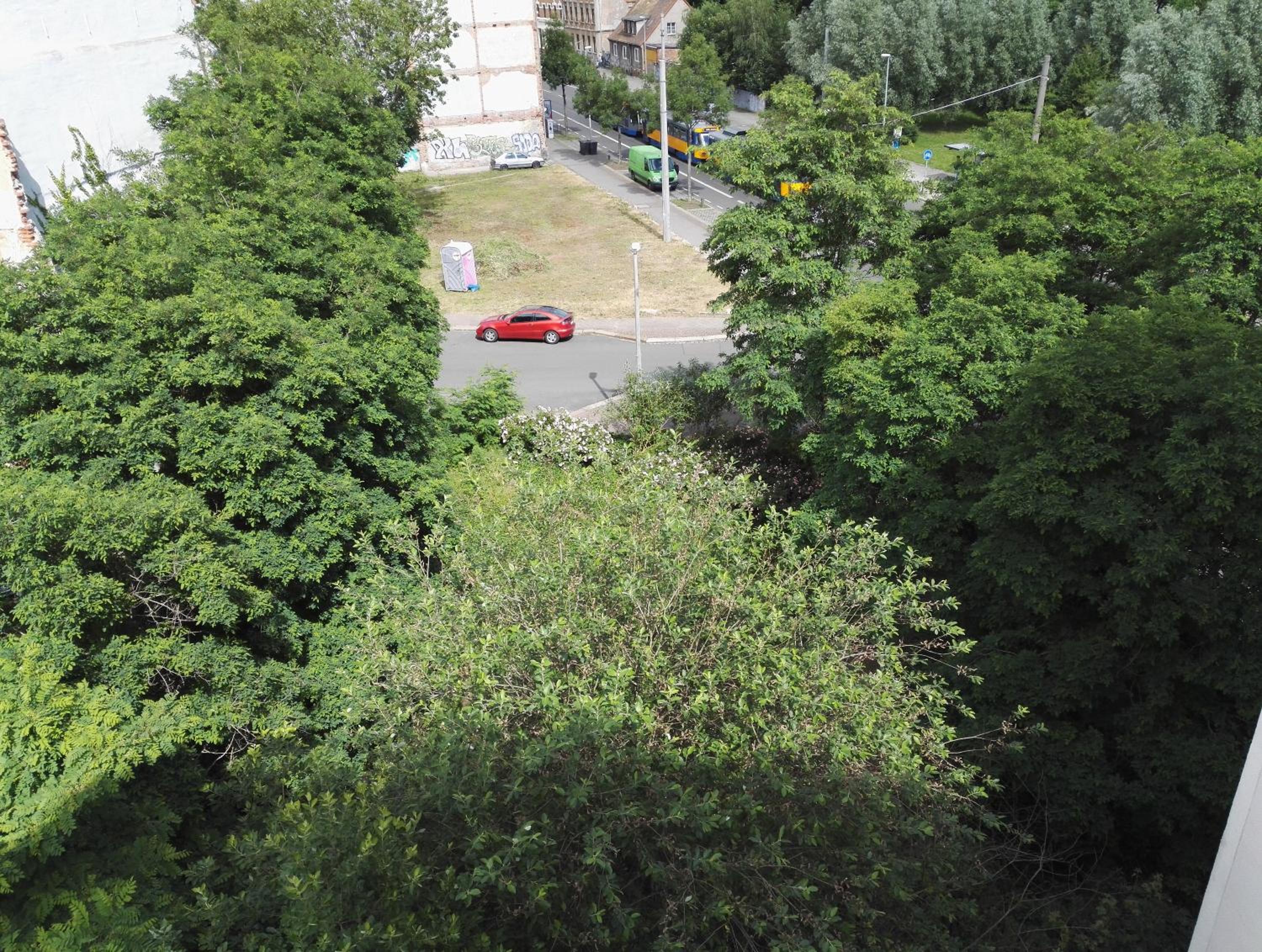 Studio Apartment - Photo 3