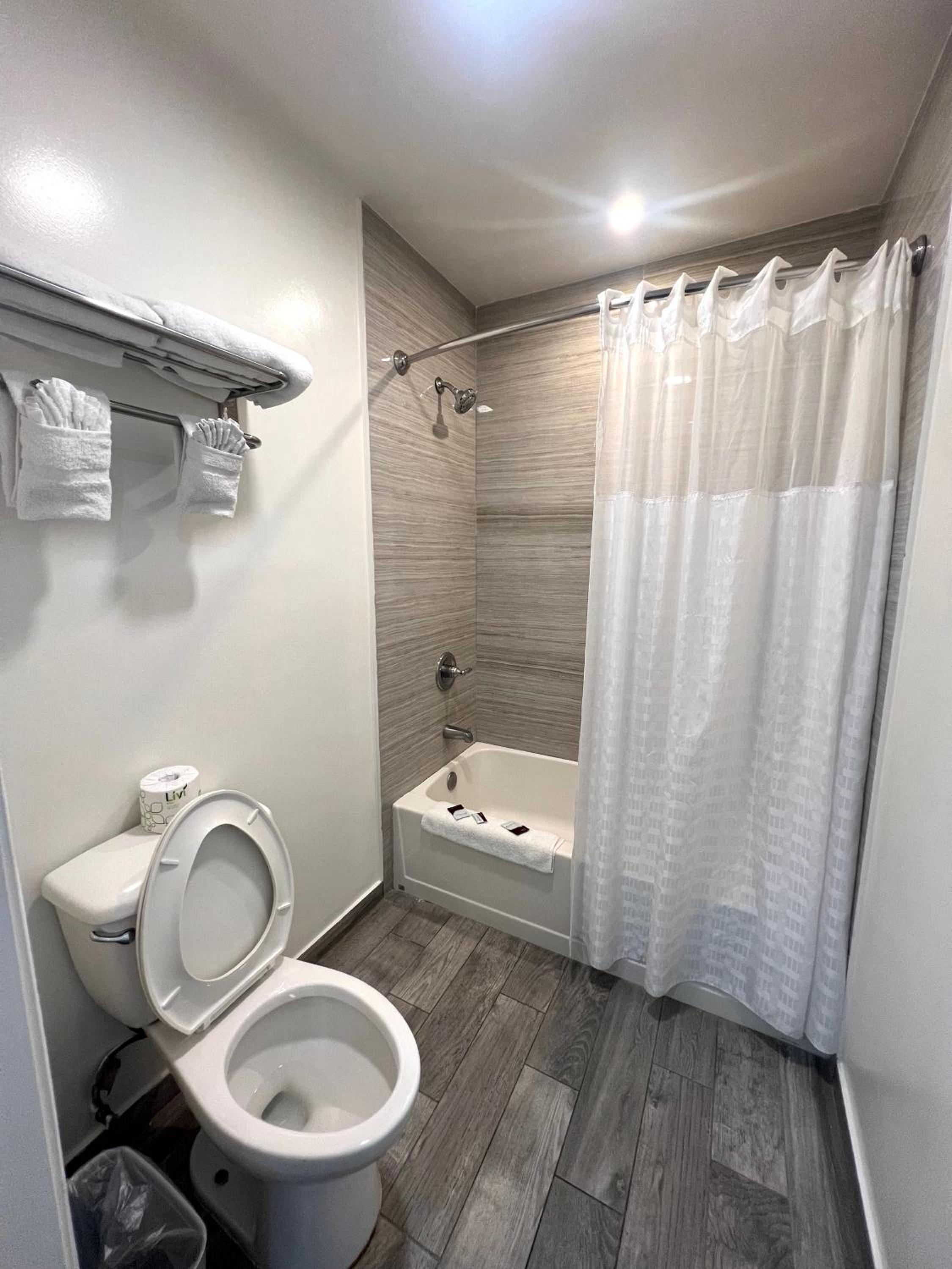 Deluxe Queen Room photo 1