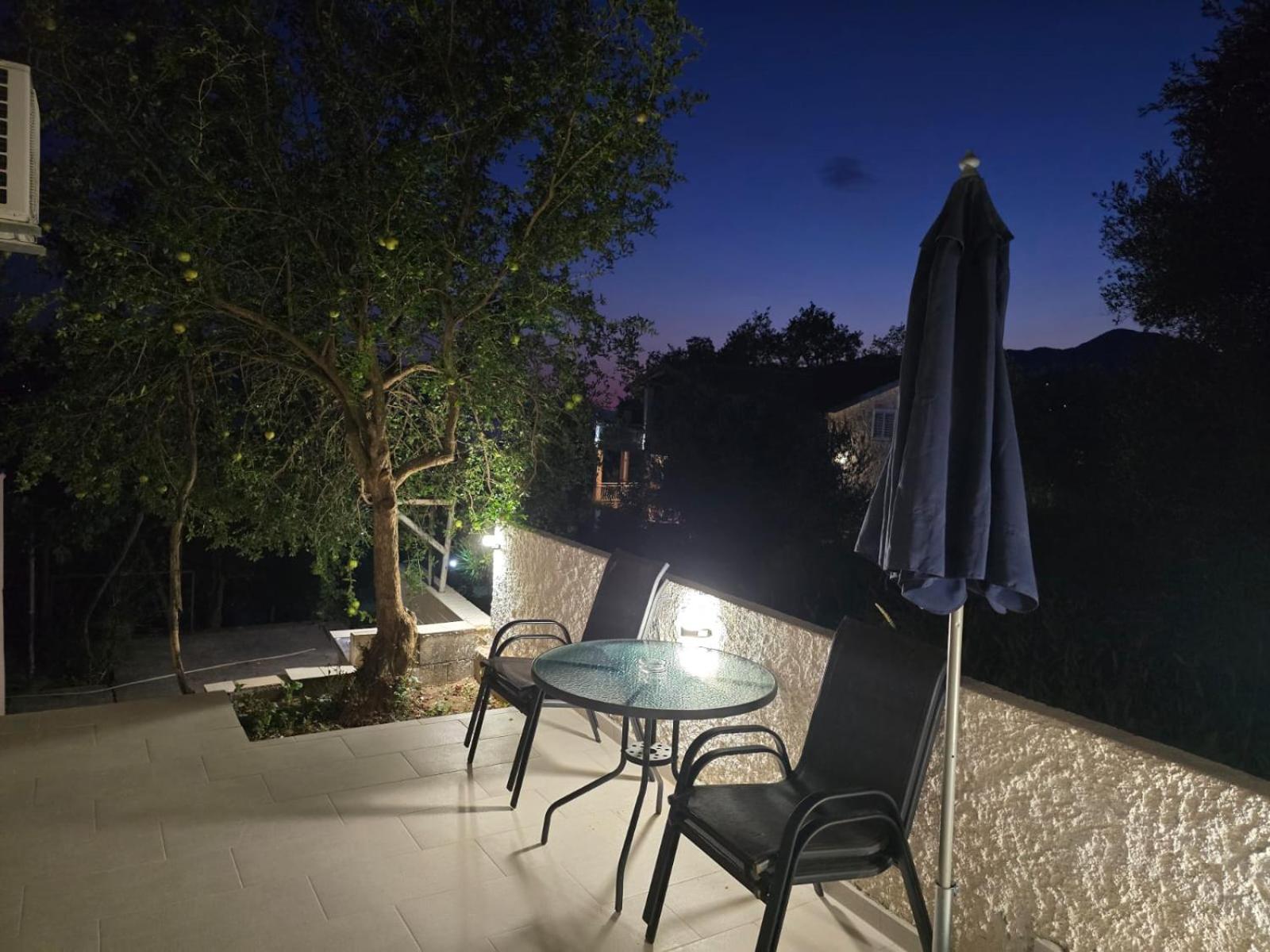 Studio with Terrace