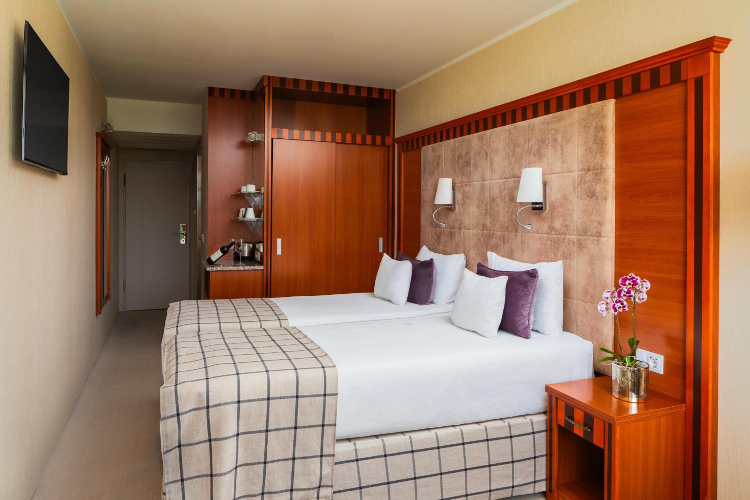 Standard Premium Double or Twin Room with Danube View