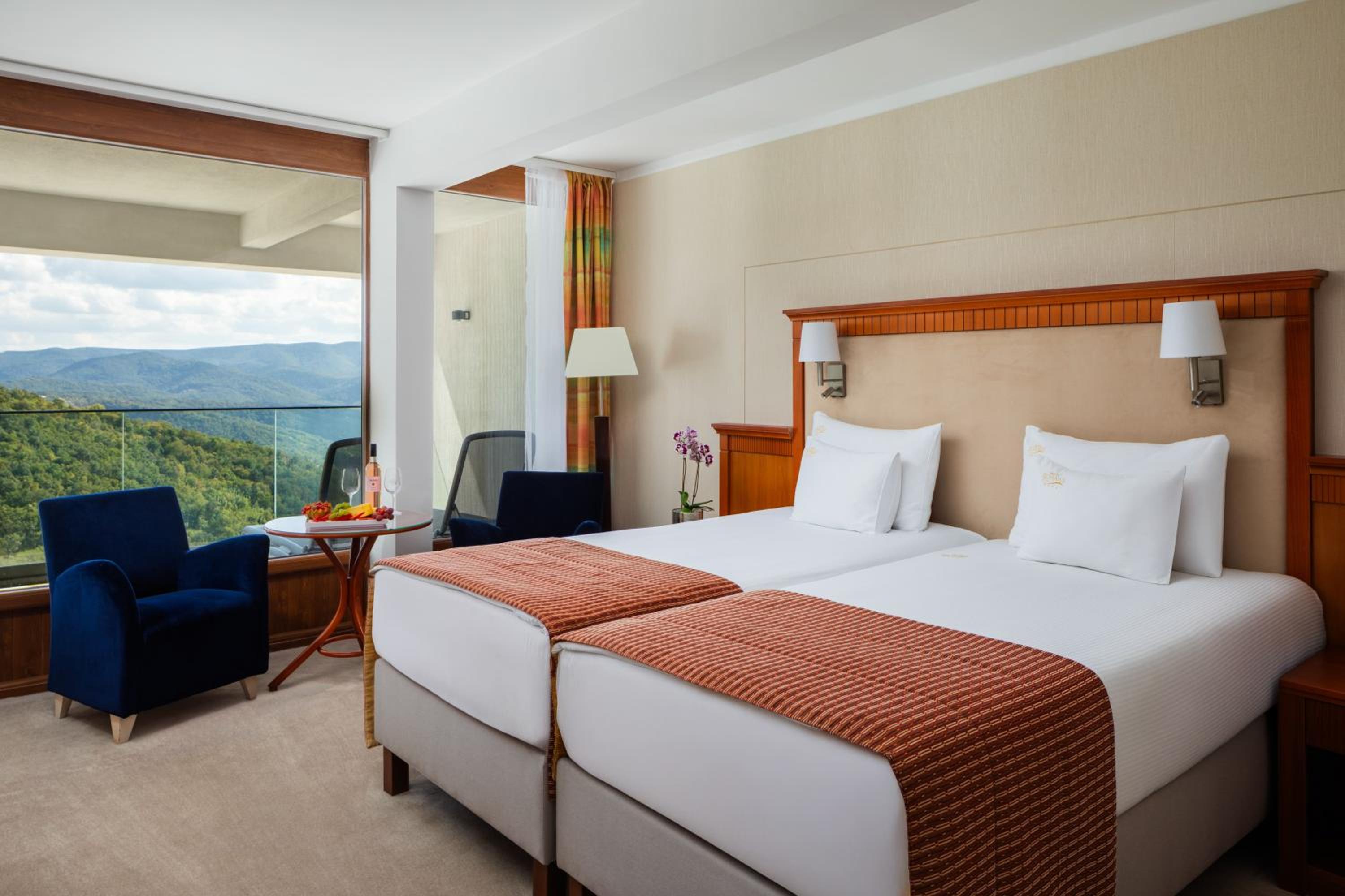 Superior Double or Twin Room with Danube View