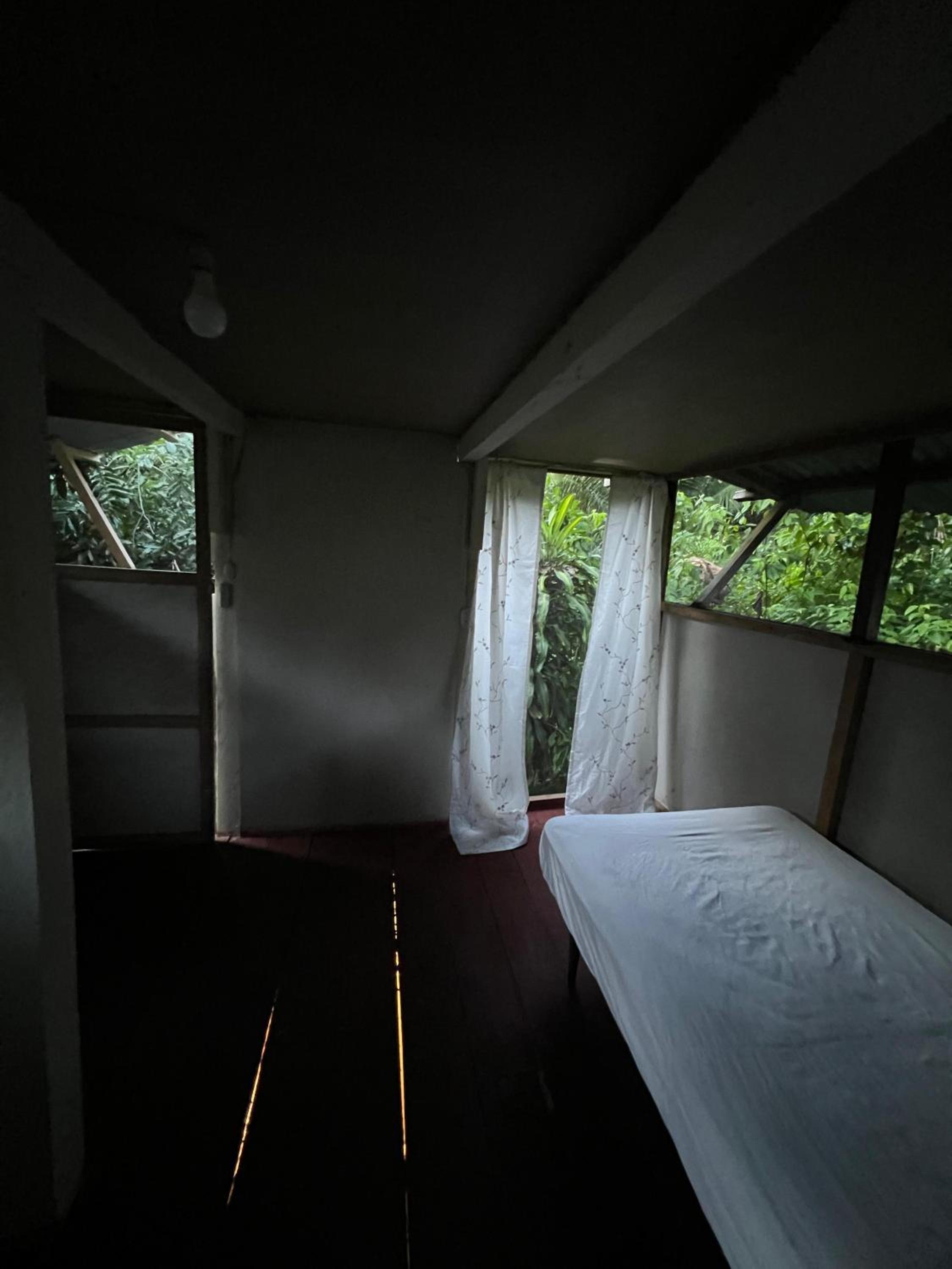 Single Room with Garden View photo 3
