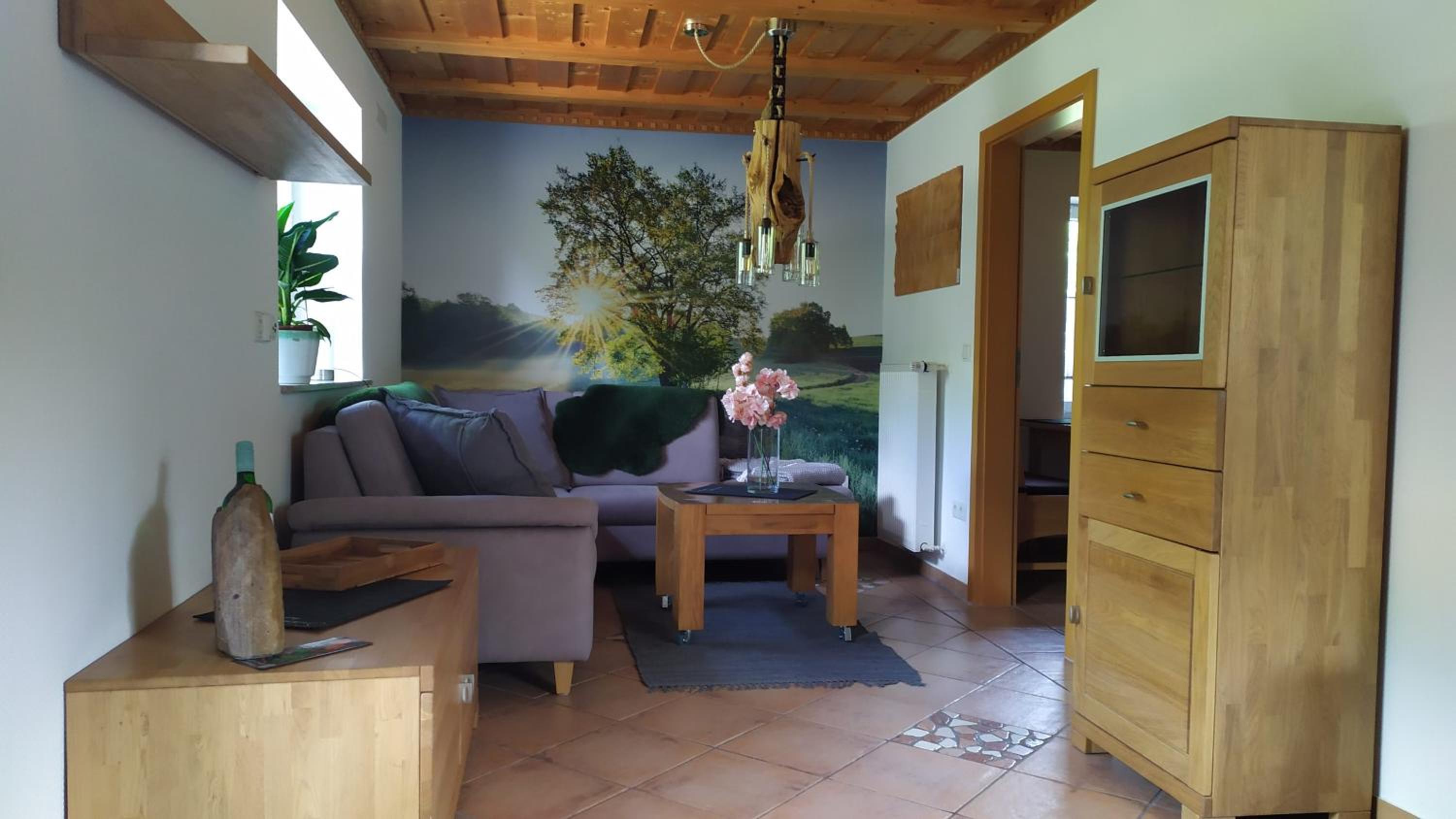 One-Bedroom Apartment with Terrace photo 2