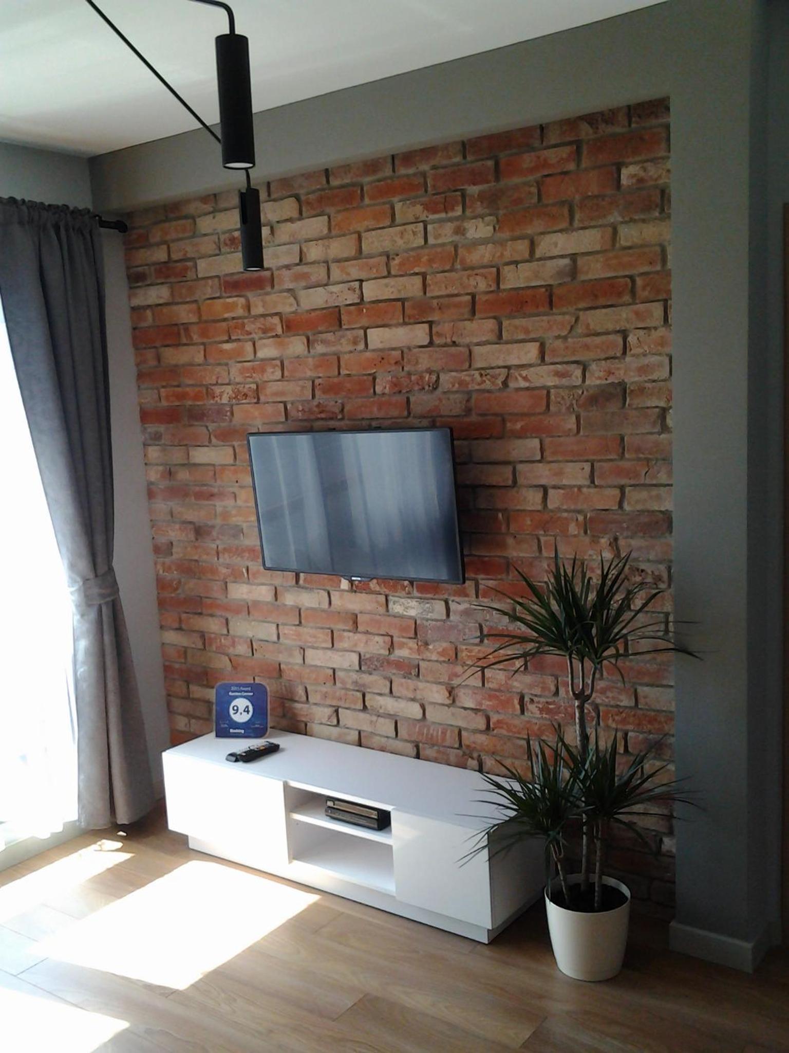 One-Bedroom Apartment with Sofa Bed