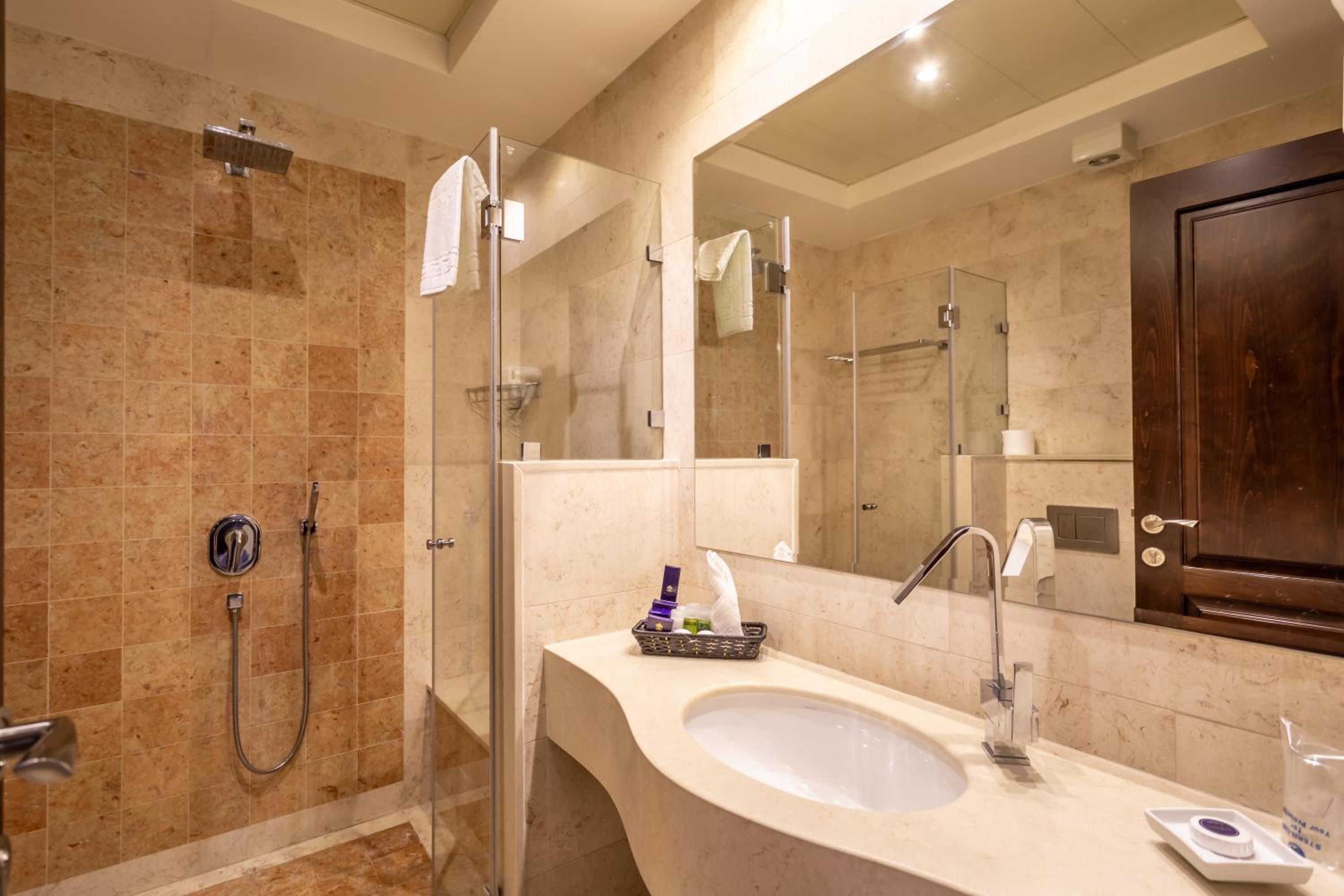 One-Bedroom Suite photo 1